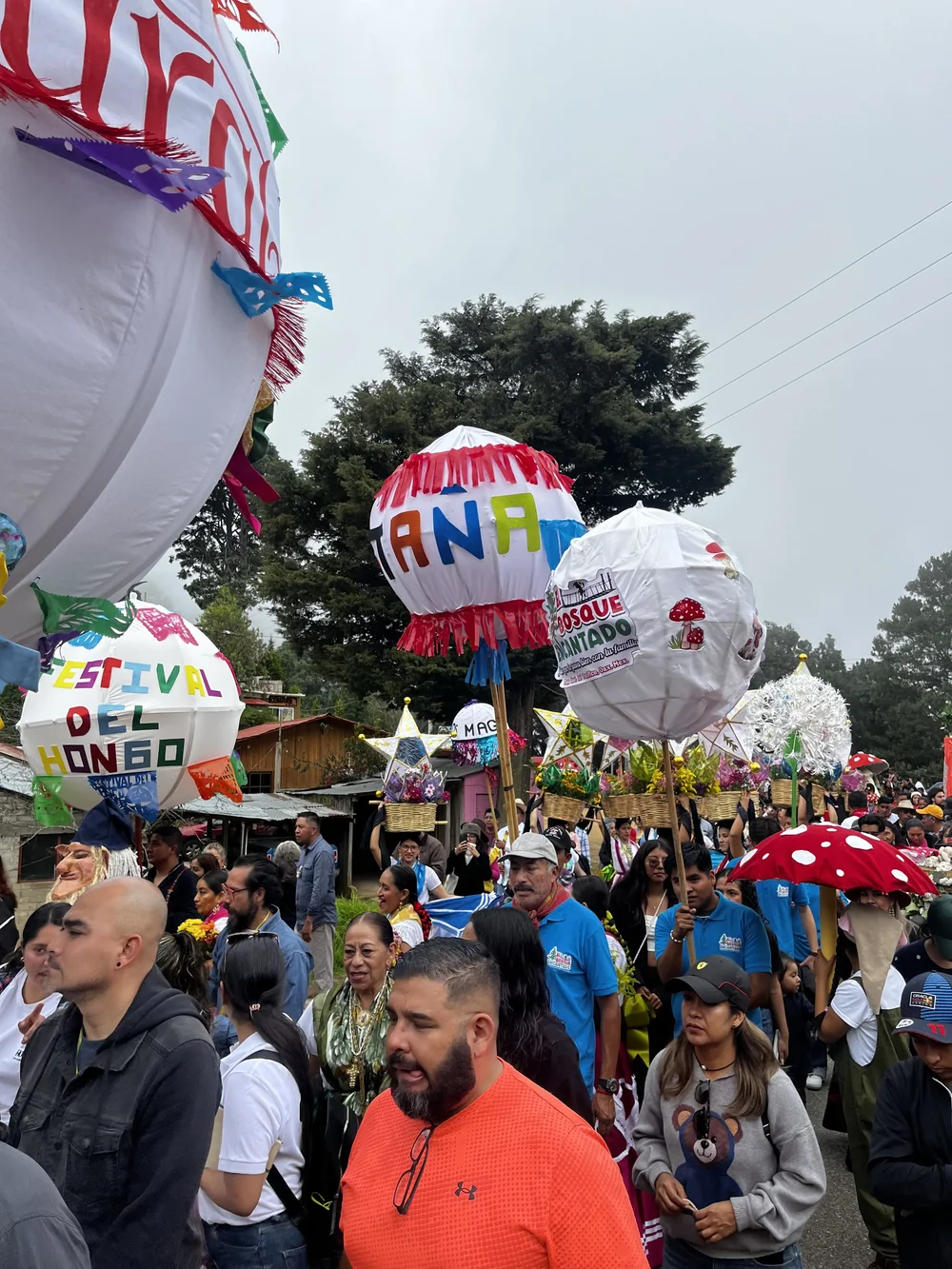 Festival Cultural de Hongo Septiembre 2024