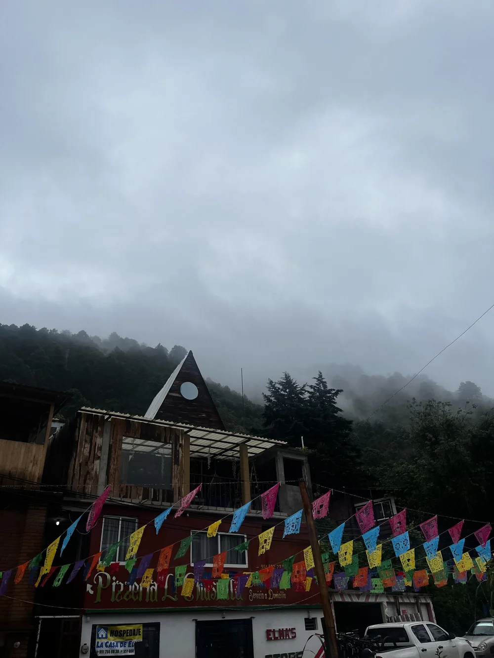 IMG_6132.jpeg
