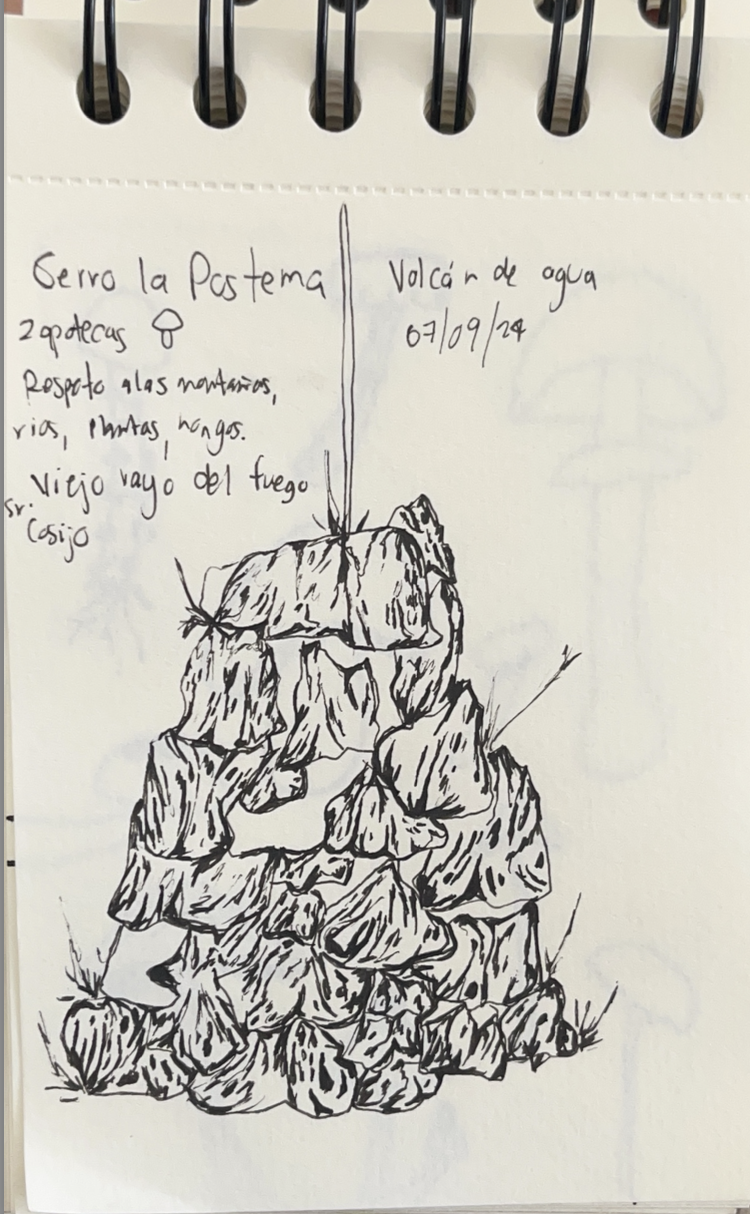 Captura de pantalla 2024-09-14 a la(s) 12.33.44 p.m..png