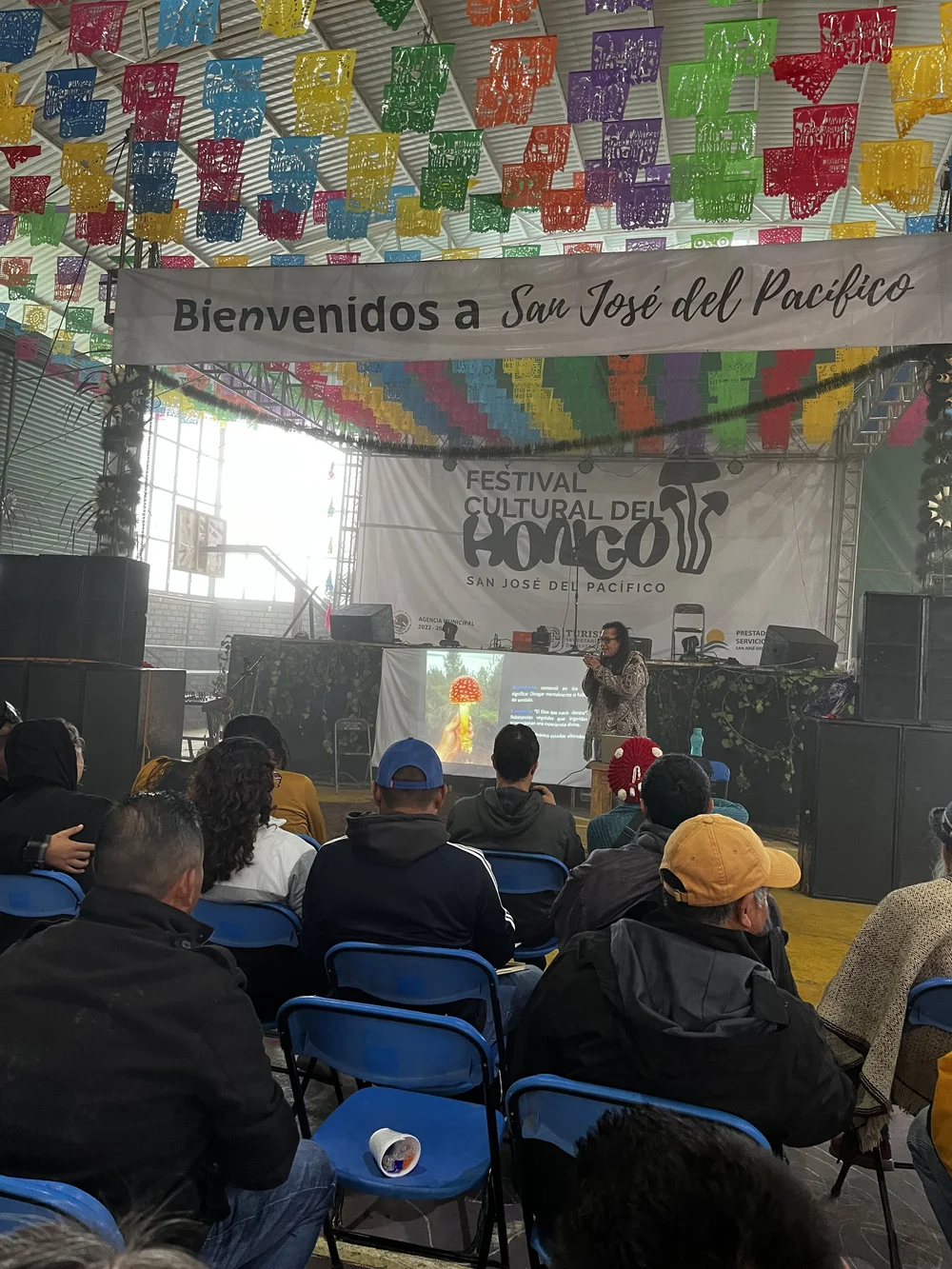 IMG_6074.jpeg