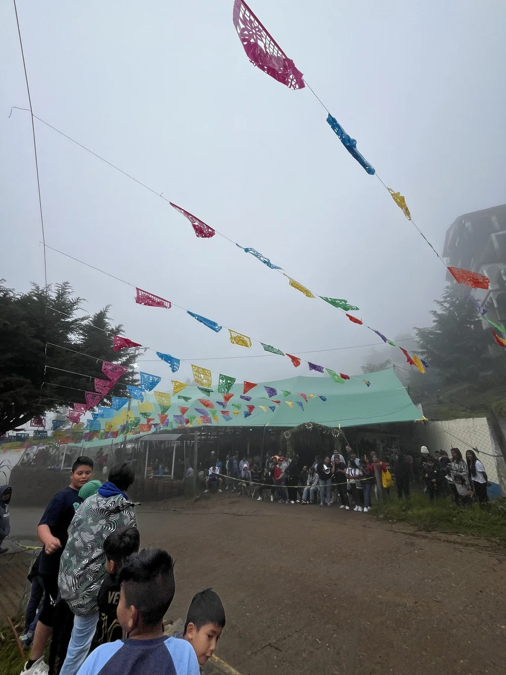 IMG_6110.jpeg
