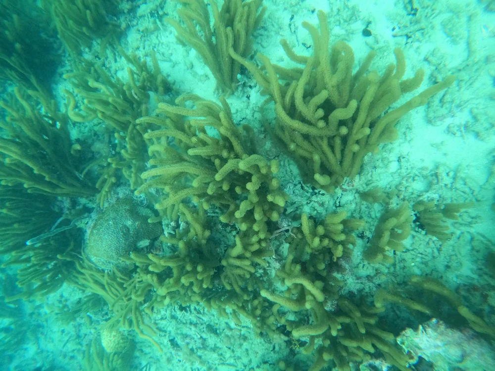 GOPR0348.JPG
