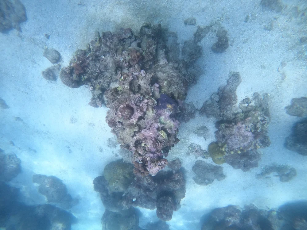 GOPR0417.JPG