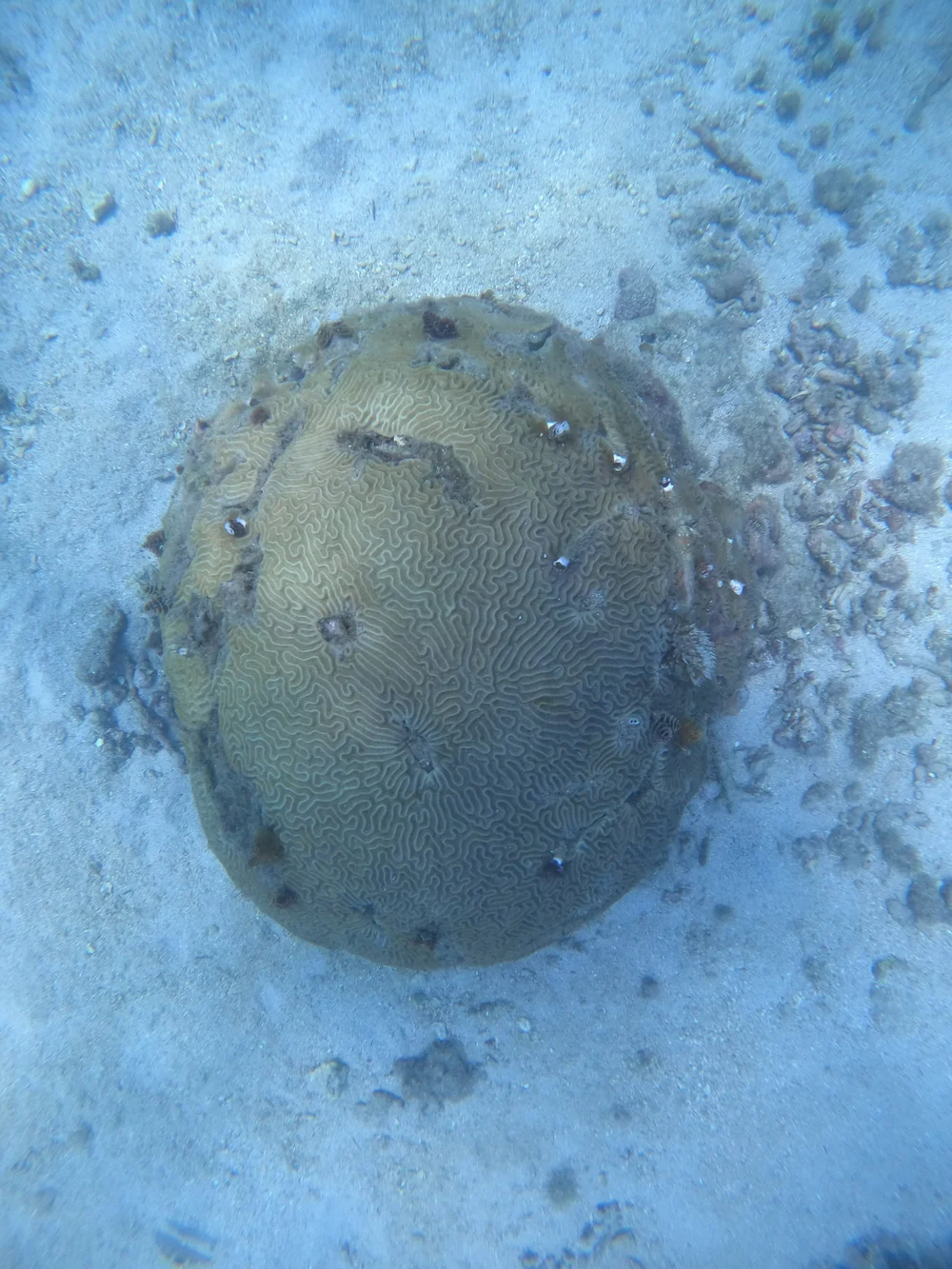 G0020385.JPG