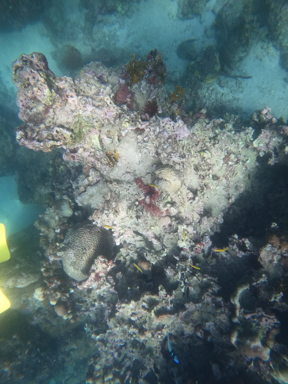 GOPR0375.JPG