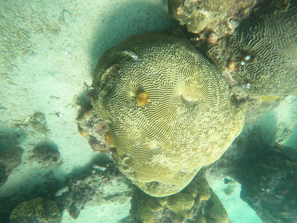 GOPR0421.JPG