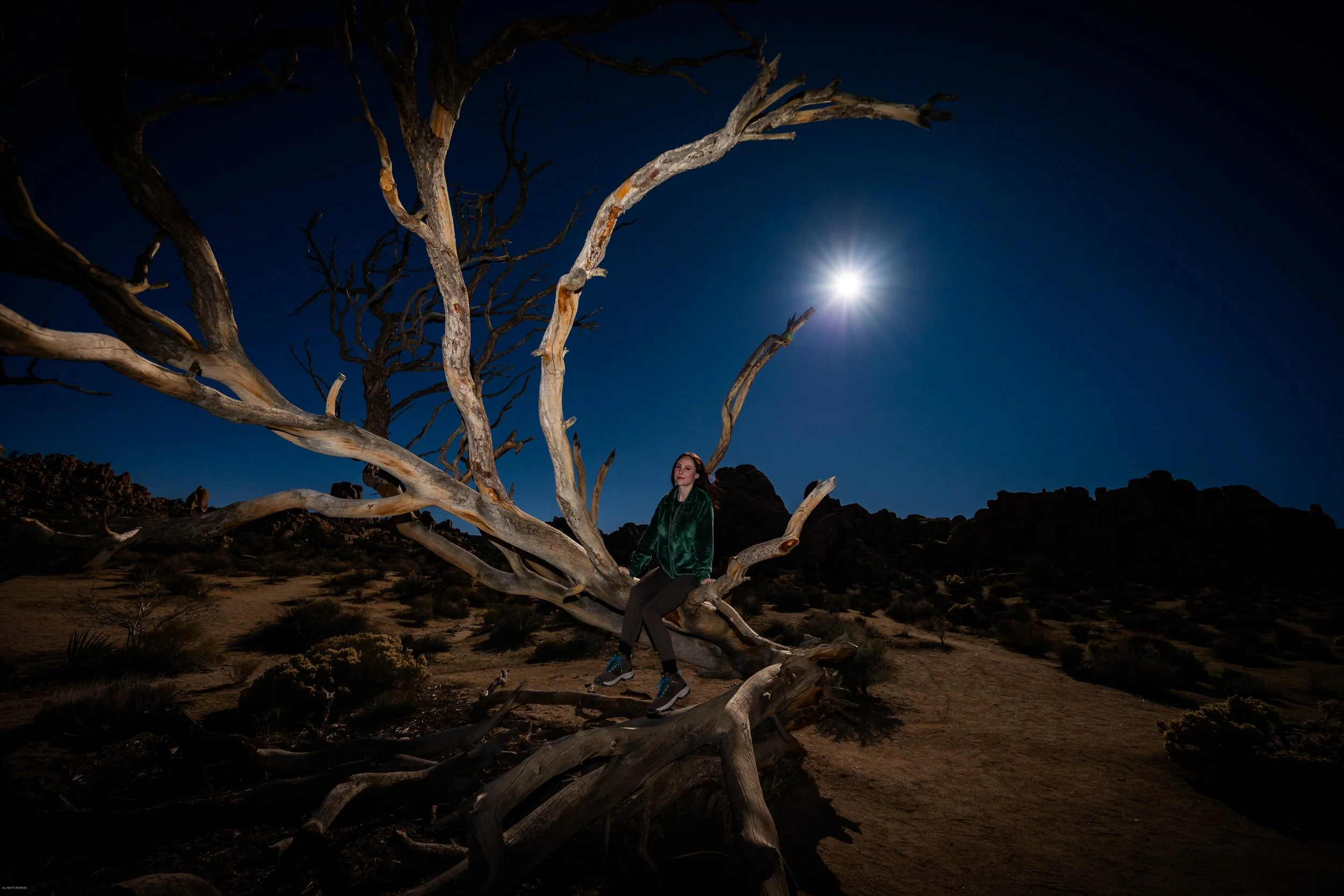 World Wide Web-3474.jpeg