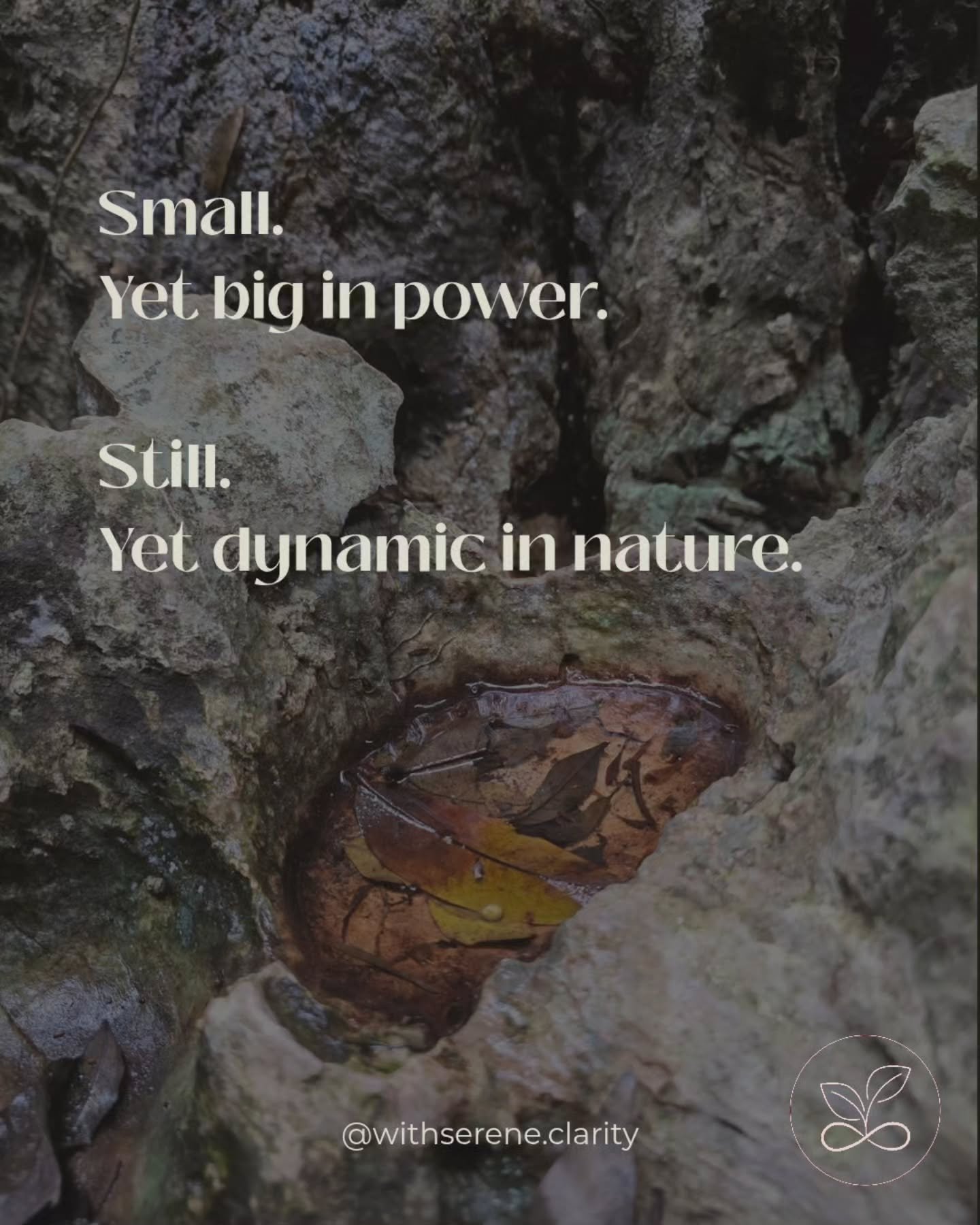 You may feel small sometimes.
But that also means you have a bigger you within, waiting to be uncovered. 

You may feel the call to be still.
That doesn't mean you are weak or stagnant.
It means you are steady on your path and you know there is no ne