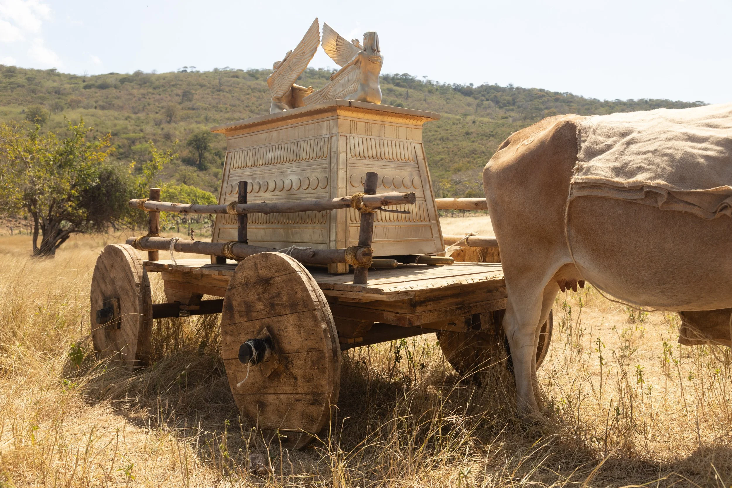 LOTLA_Stills (49 of 53).jpg