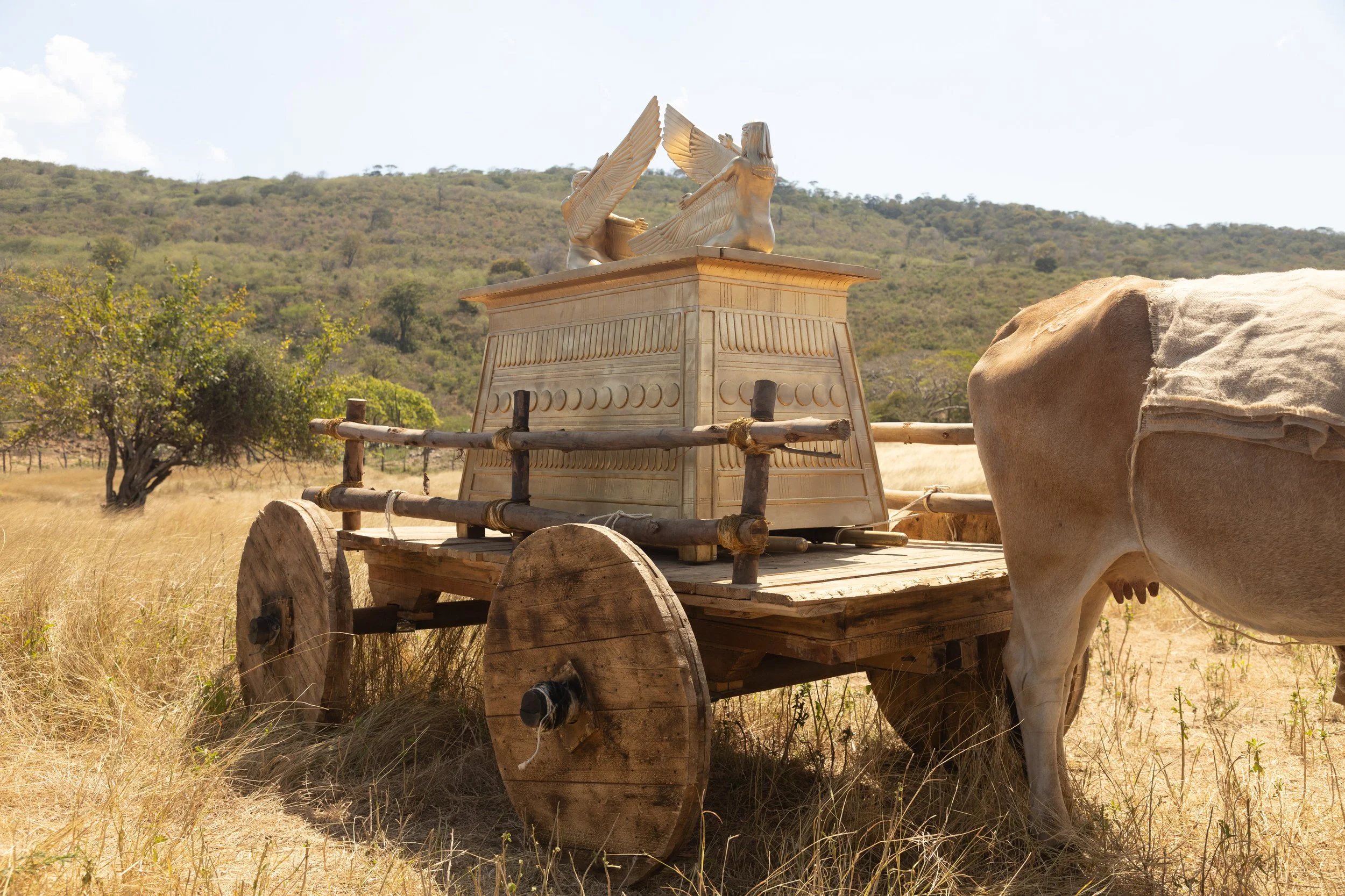 LOTLA_Stills (48 of 53).jpg