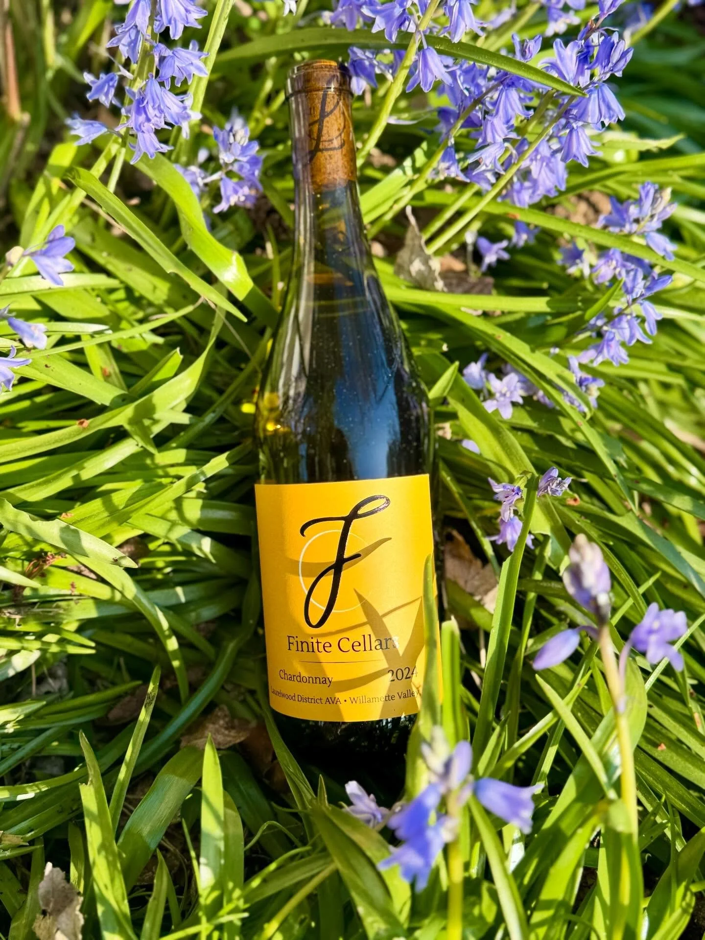 Spring doesn&rsquo;t last forever.
That&rsquo;s what makes it worth noticing.

Our 2024 Laurelwood District Chardonnay captures this moment in the Willamette Valley&mdash;fresh, lifted, and layered with quiet depth.  Grown on Laurelwood soils, captur