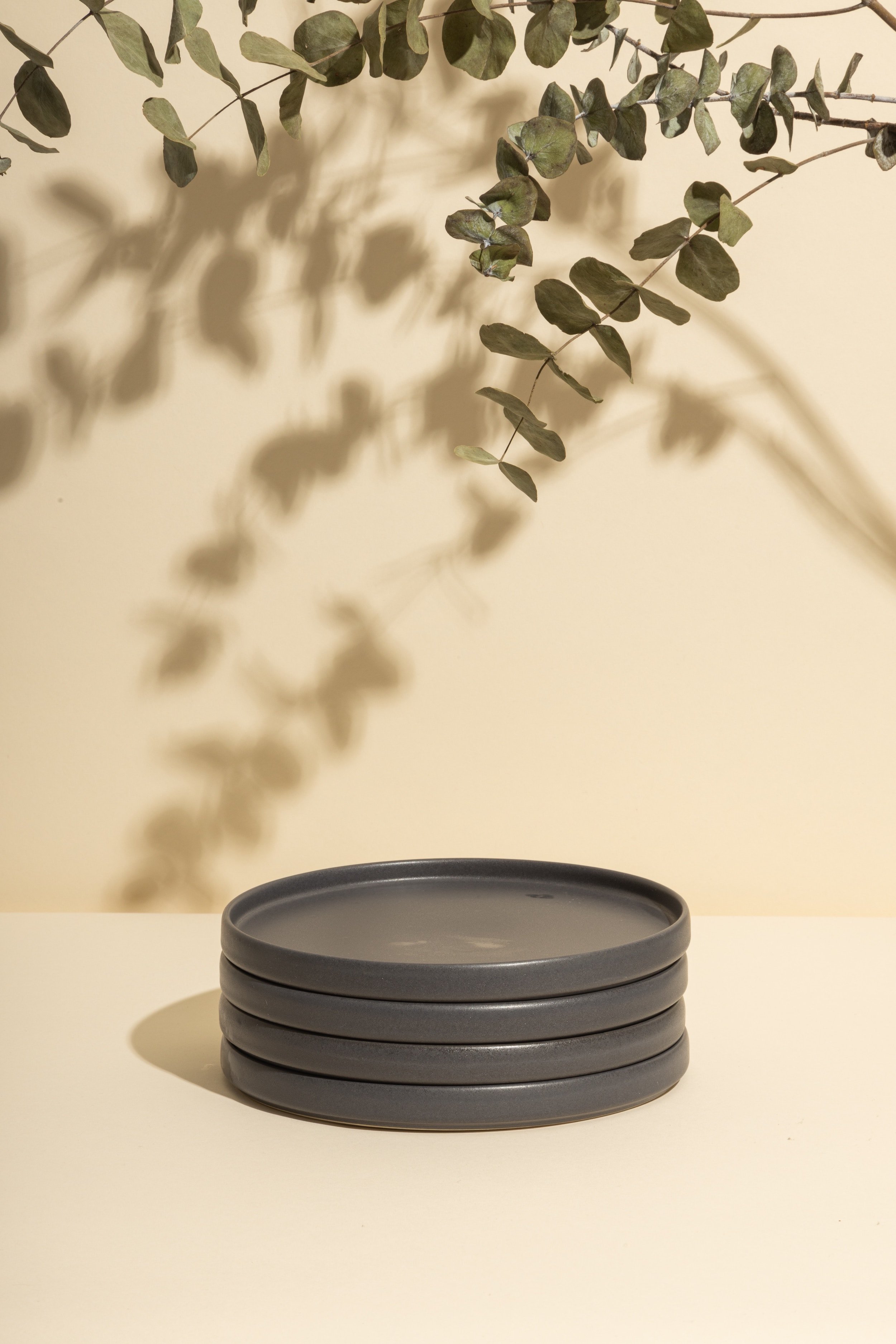 Ceramic Plate Set of 4