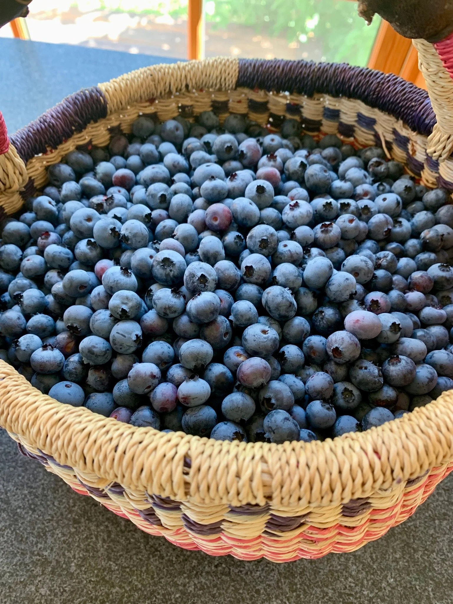 Blueberries.JPG