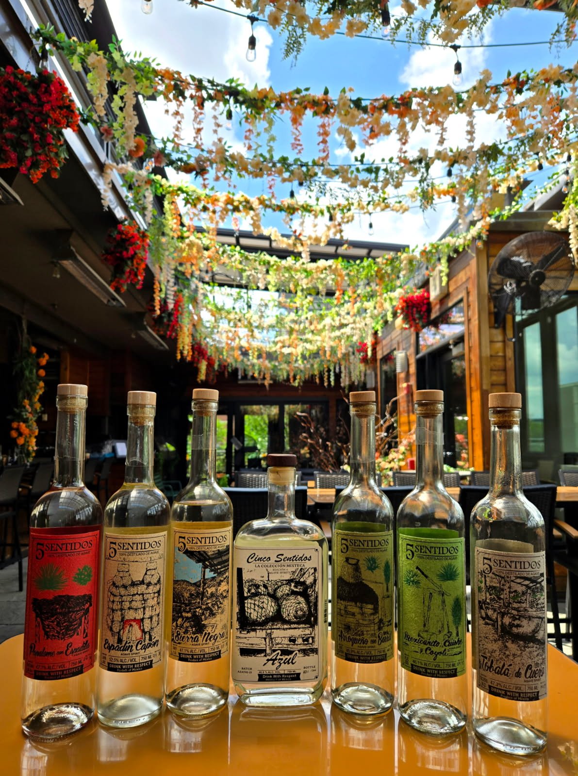 Exploring Agave: 5 Sentidos Tasting