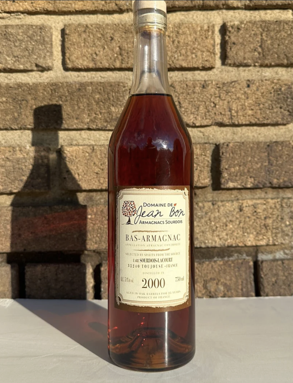 #hightopdrams with Bien Élevé