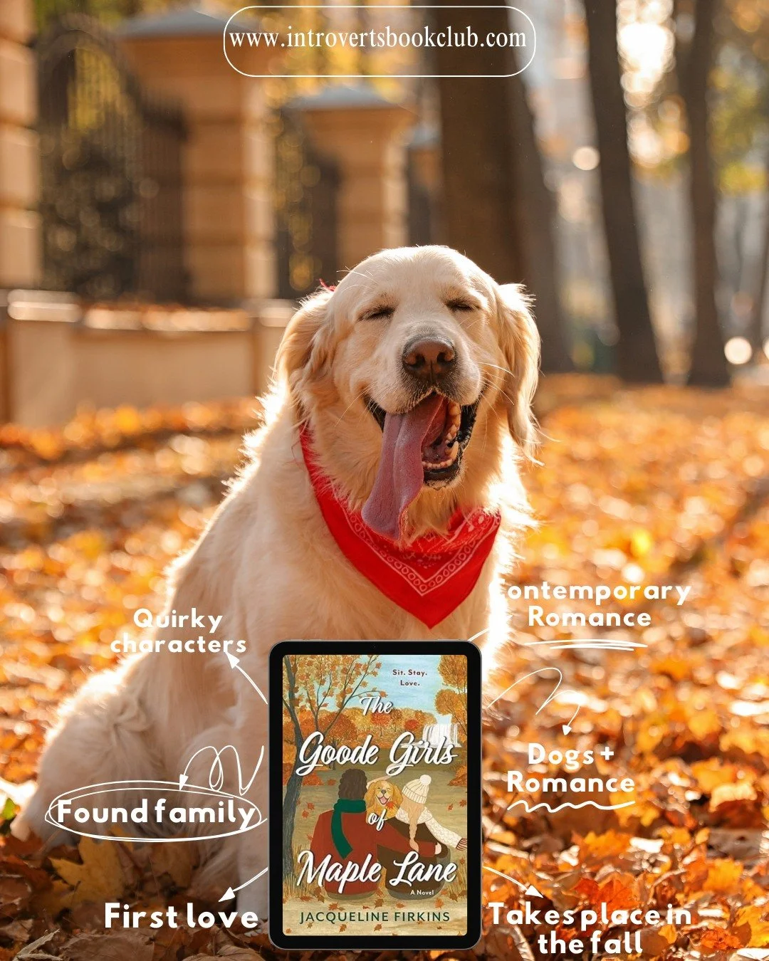 The Goode Girls of Maple Lane by Jacqueline Firkins🐕🐕

Publish date: September 16, 2025

Rating: 5/5

Spice: 1.5/5

Plot: 5/5

Primary Genre: Adult contemporary romance

Blurb: 

A struggling vet student and a rescue golden retriever save each othe