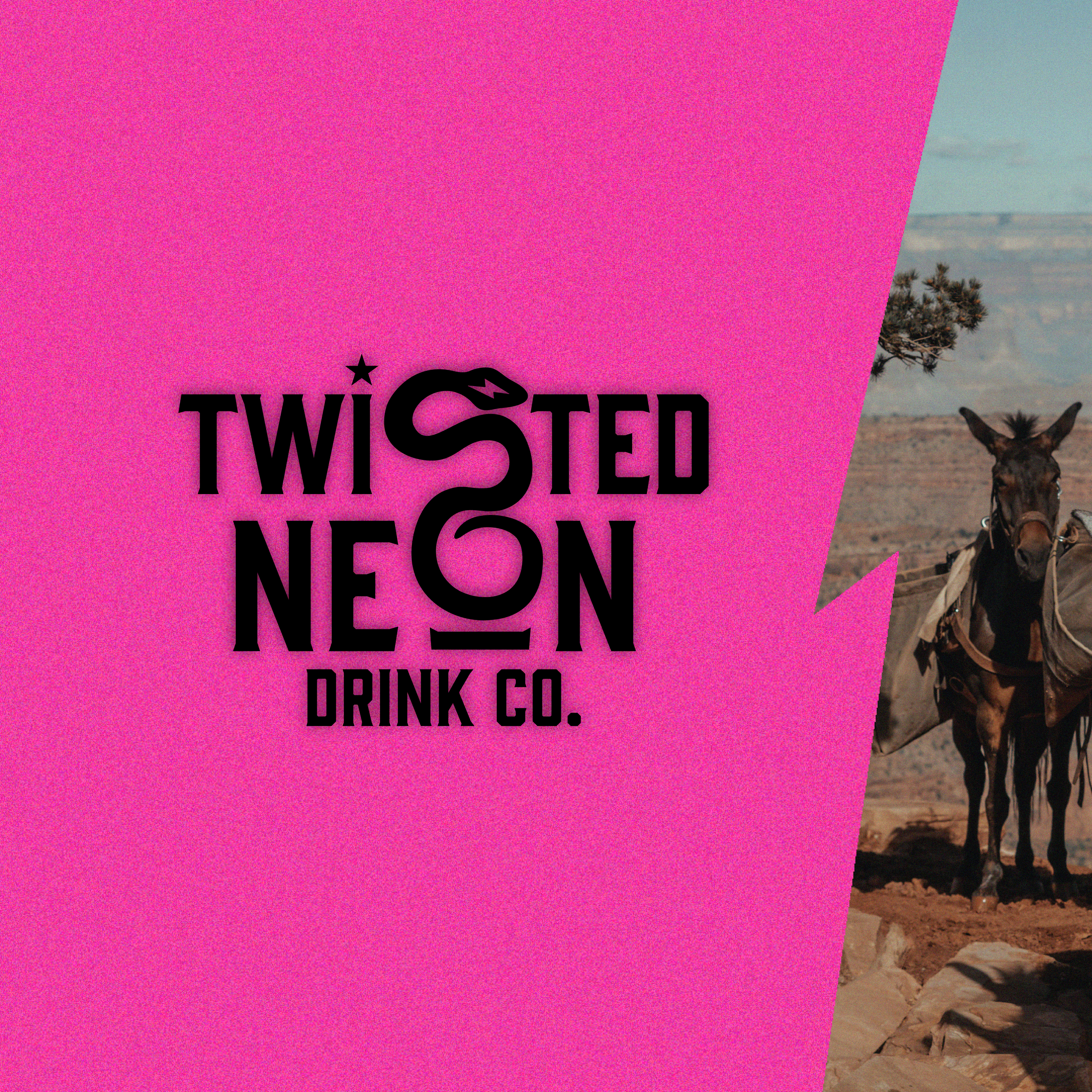 twneon_presentation-01.png