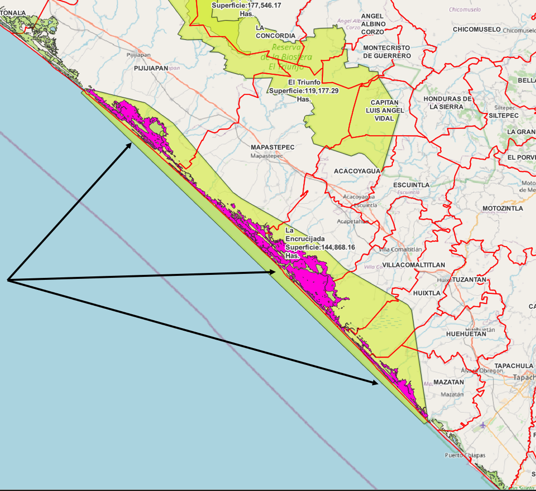 An image of the Cultural Center.