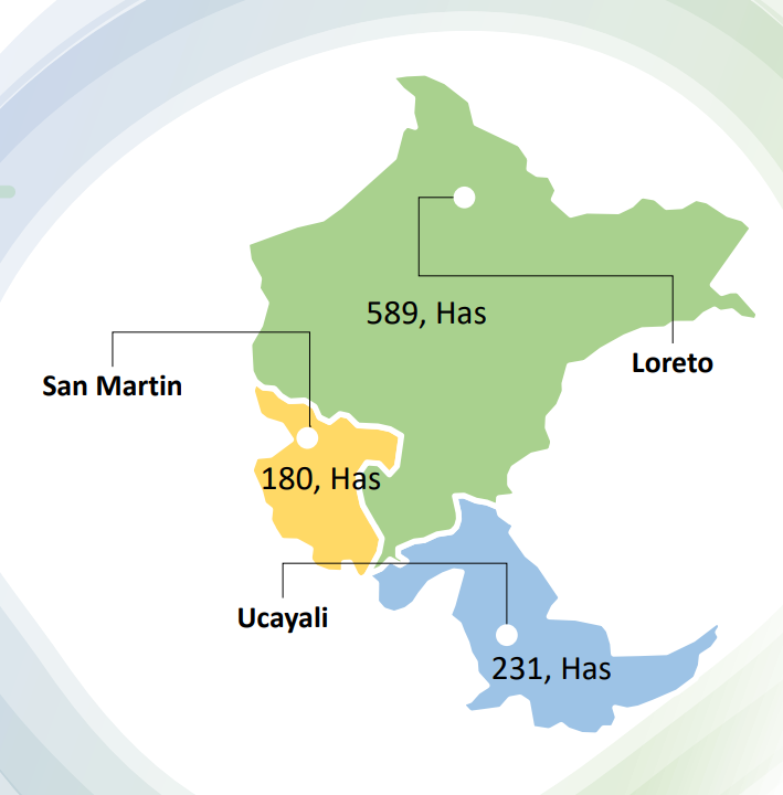 An image of the Cultural Center.