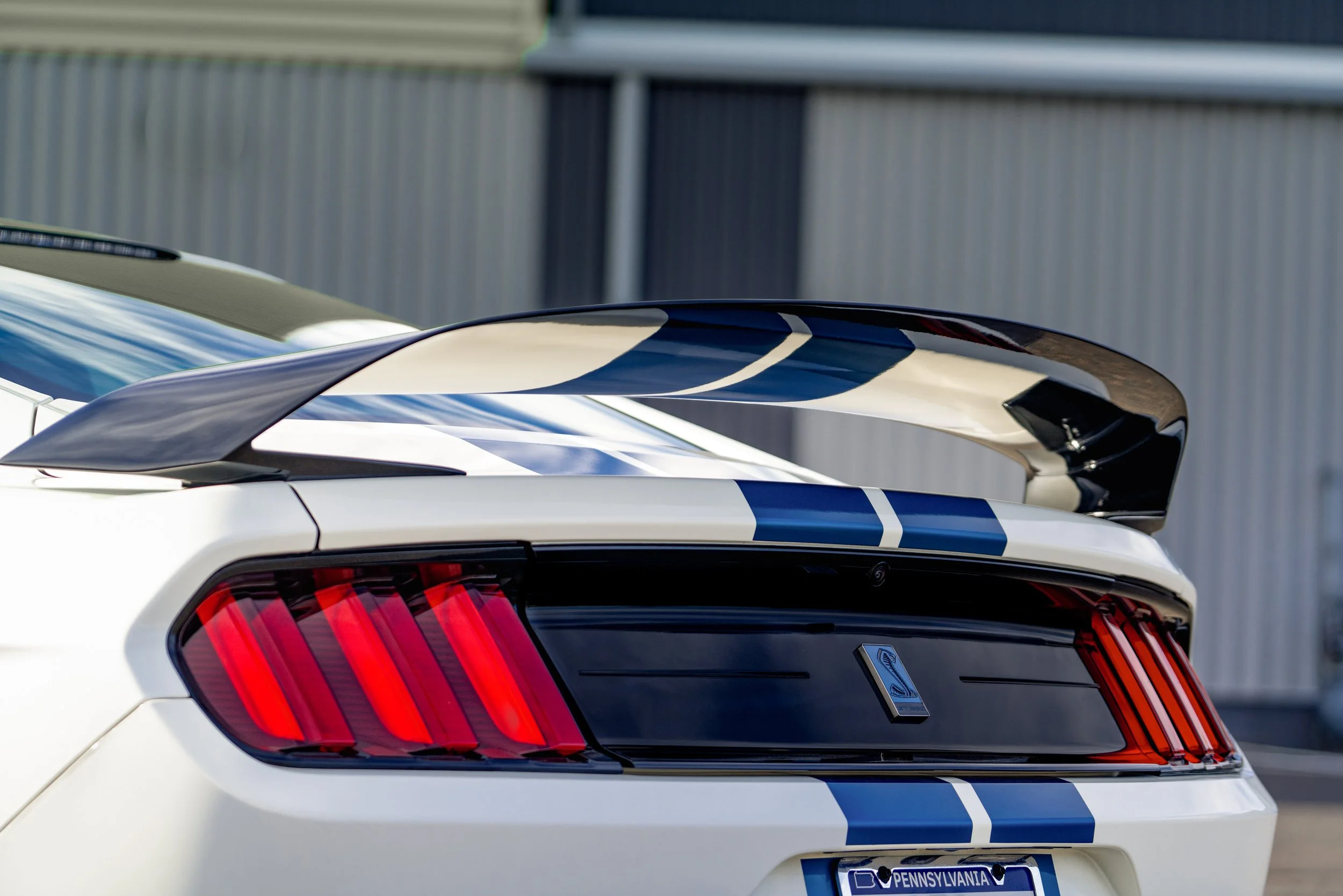 2020 Ford Shelby Mustang GT350 R Heritage Edition_Advertising #2174-17.jpg