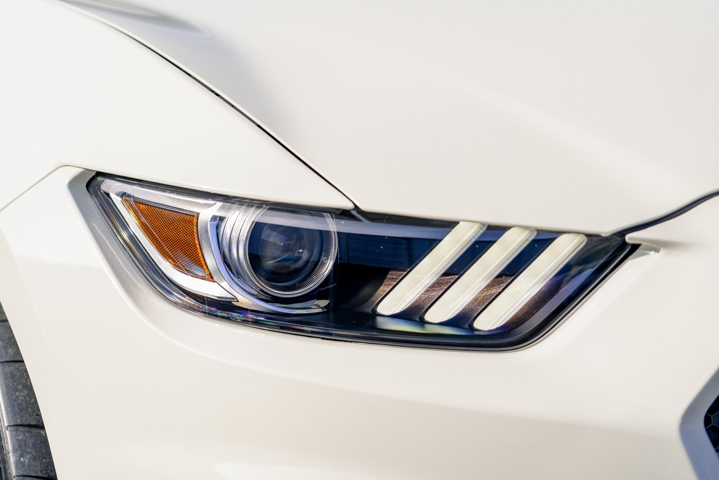 2020 Ford Shelby Mustang GT350 R Heritage Edition_Advertising #2174-29.jpg