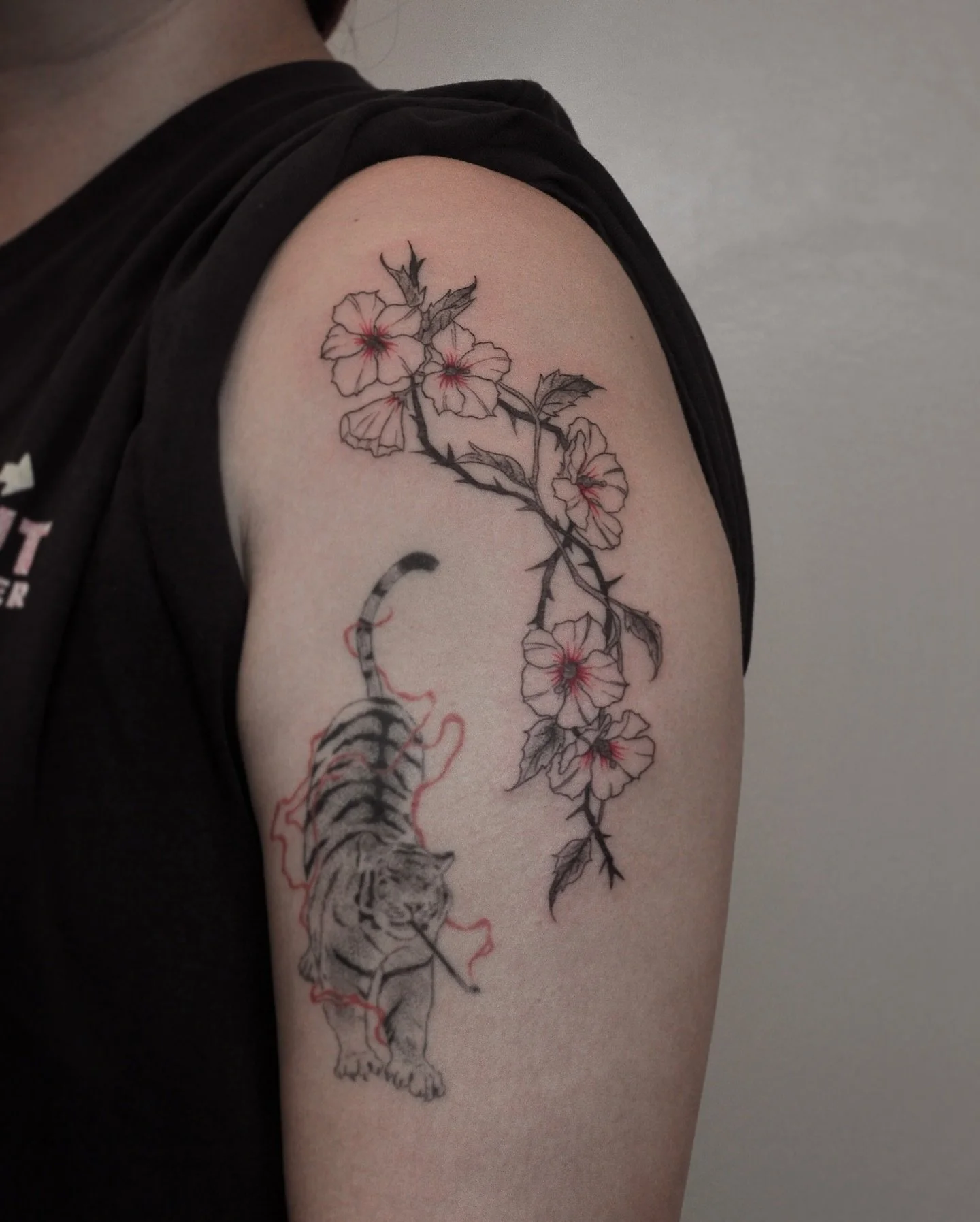 Korean Mugunghwa flowers for Cassandra🌺
Next to the tiger I did about 2 years ago 🐯

Apr - May Bookings open 💌
Please use my booking form (linked in bio) or DM for enquiries !
.

 #sydneytattoo #tattooflash #finelinetattoo #flowertattoo #floraltat