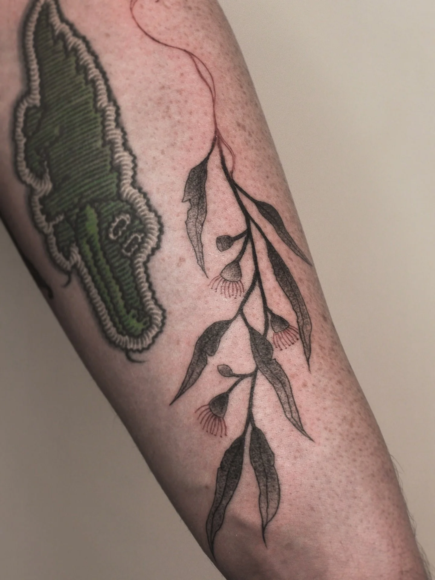 Custom gum leaves for Nick 🪴

.
May - Jun Bookings open 💌
Please use my booking form (linked in bio) or DM for enquiries !

#australiatattoo #finelinetattoo #illustrativetattoo #redandblacktattoo #gumleaves