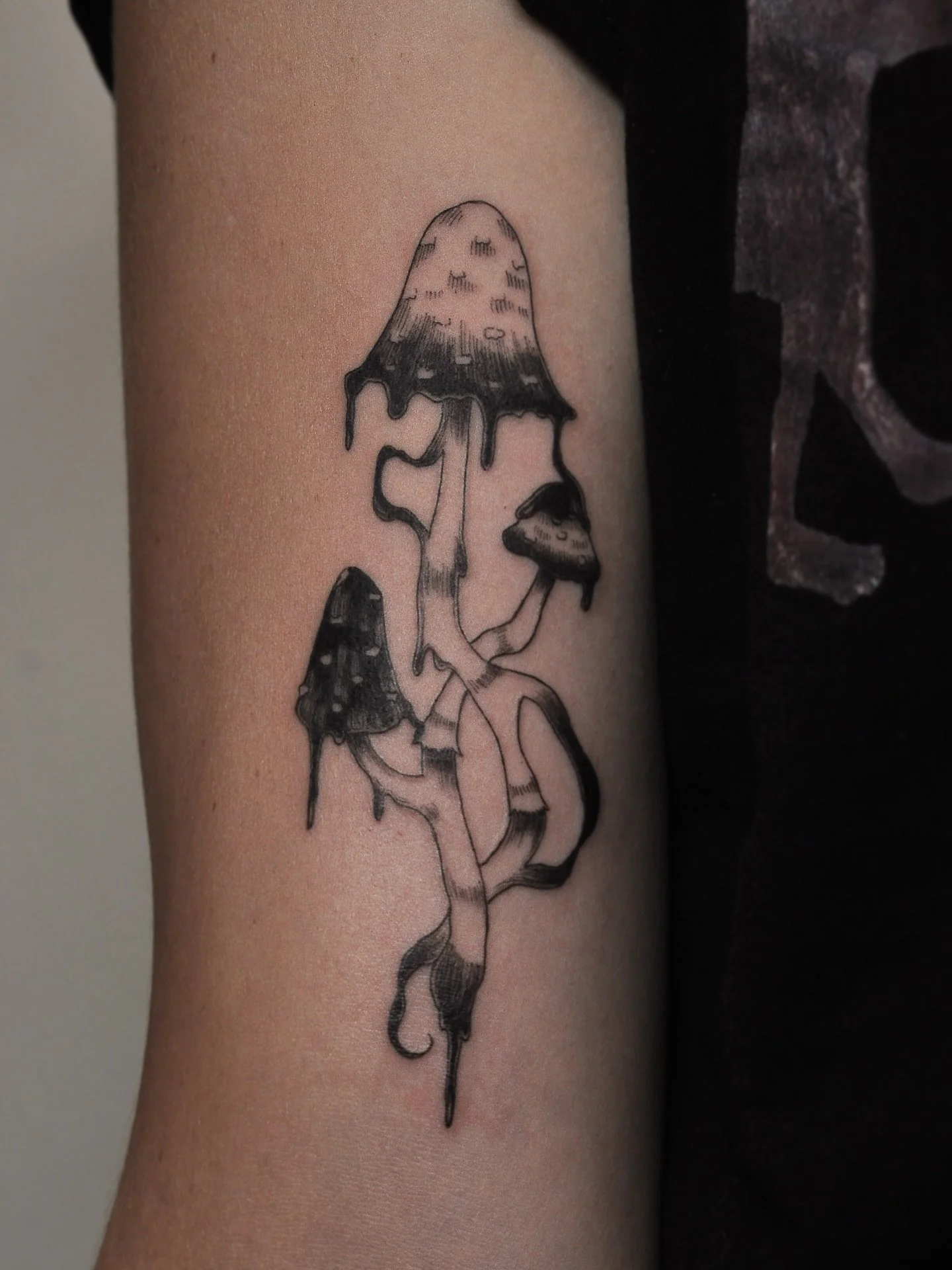 Inkcap mushrooms for Tayla 🍄&zwj;🟫

Always a fun time tattooing mushrooms !

.

Jun - July Bookings open 💌
Please use my booking form (linked in bio) or DM for enquiries !

#australiatattoo #finelinetattoo #illustrativetattoo #mushroomtattoo #inkc