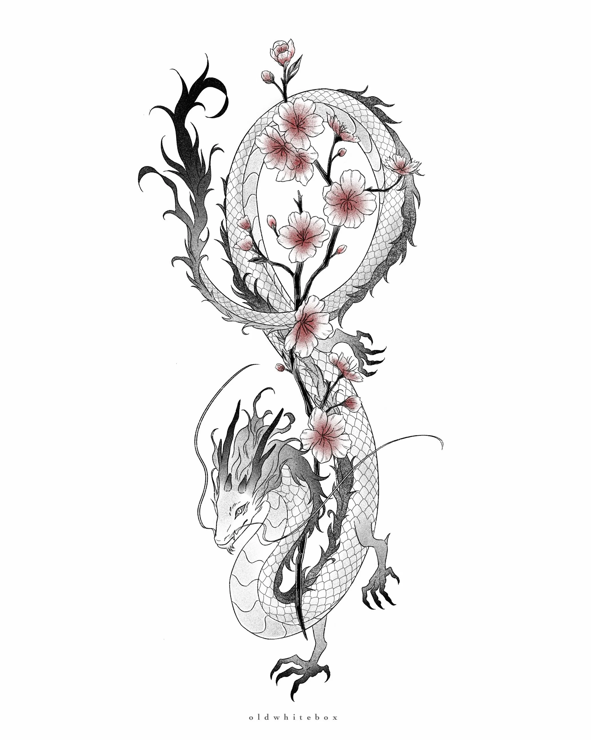 Available Design | Dragon &amp; cherry blossoms 🐉🌸 

Starting size: ~30cm 
As always, open to different placements, these are just some ideas !

Realised I never properly posted this piece I did for a drawing competition at LittleFrankies a while b