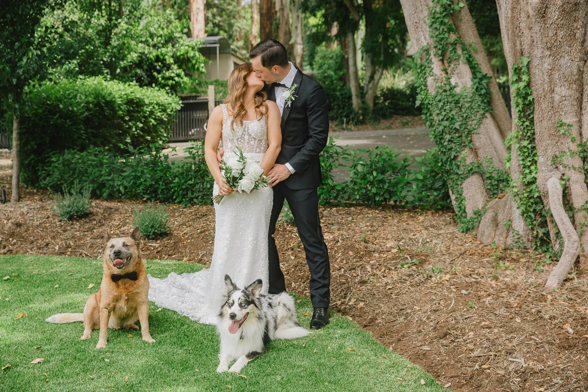 A newlywed couple shares a kiss outdoors in a garden, with two dogs sitting on the grass nearby. The bride is holding a bouquet, wearing a lace wedding dress, and the groom is in a black suit with a bow tie.
