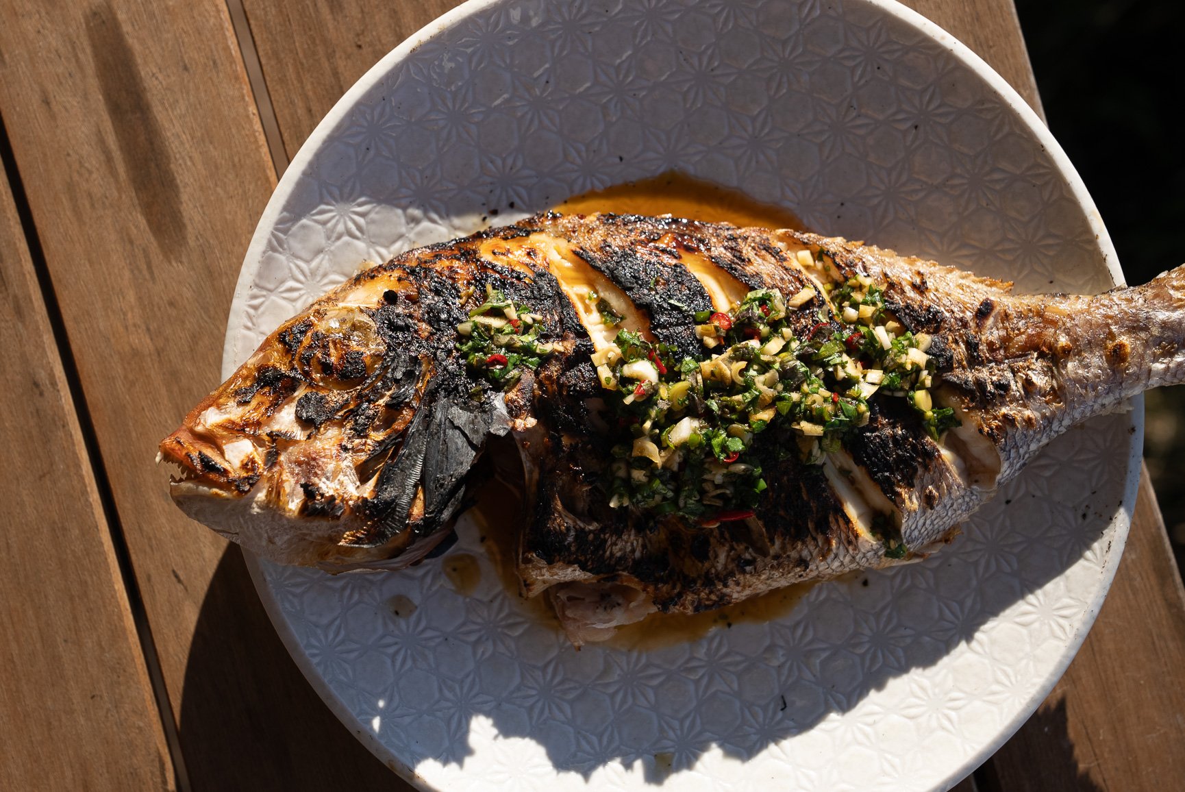Snapper Export-5.jpg