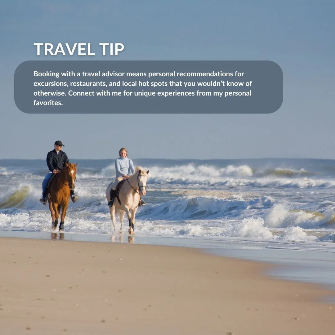 The best excursions come from those with travel experience 🐴 🌊. Let me plan the best excursions along with other handcrafted activities you are sure to enjoy on your trip 🌟. #Travelbetter #TravelTips #Excursions #Horsebackriding #TravelAgency