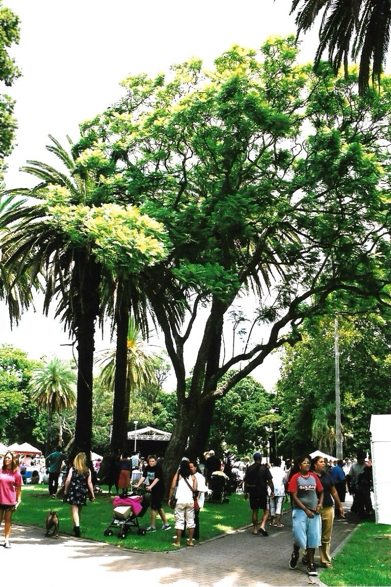 Yabun-Redfern-Oval-(1).jpg