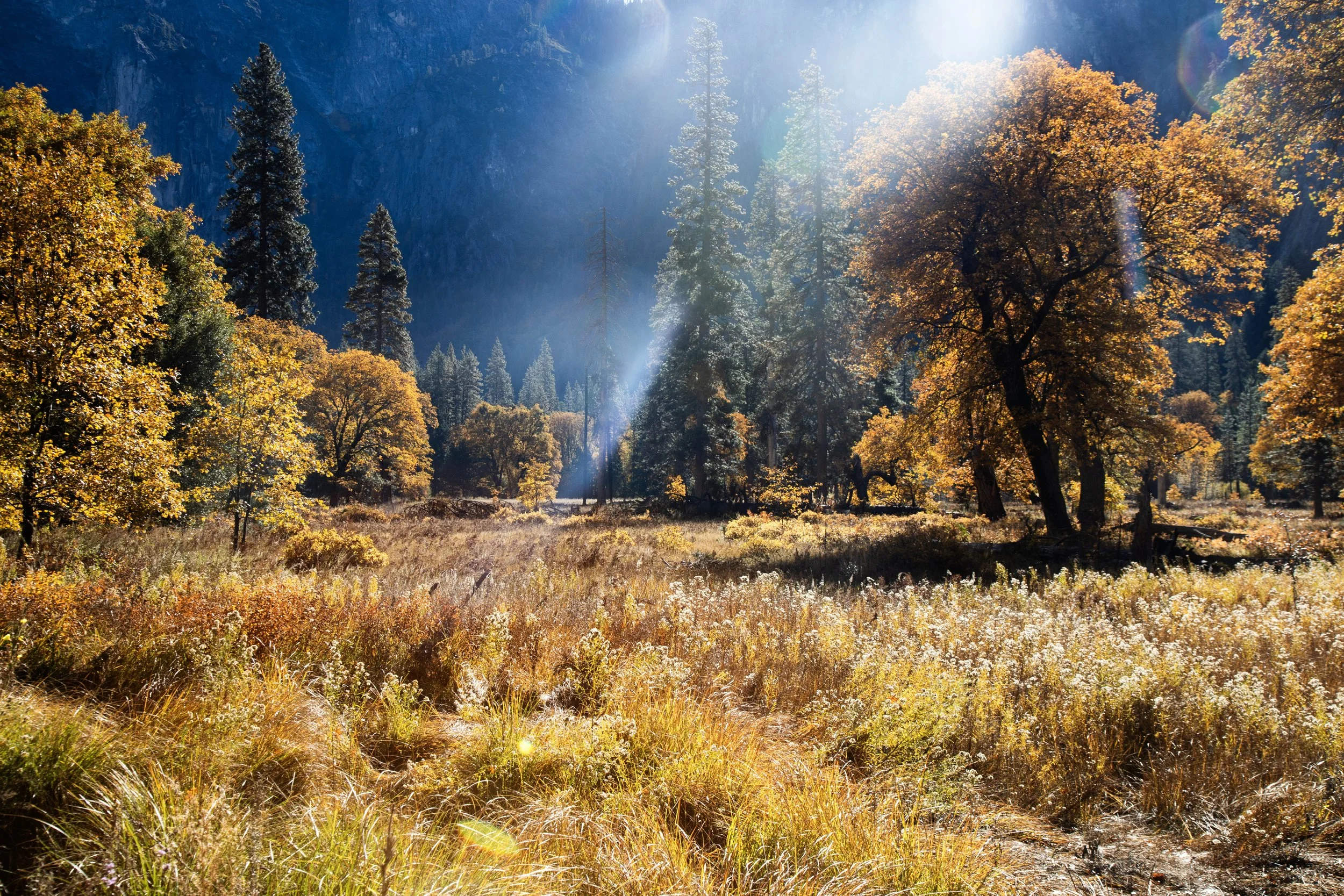 Yosemite National Park.jpg