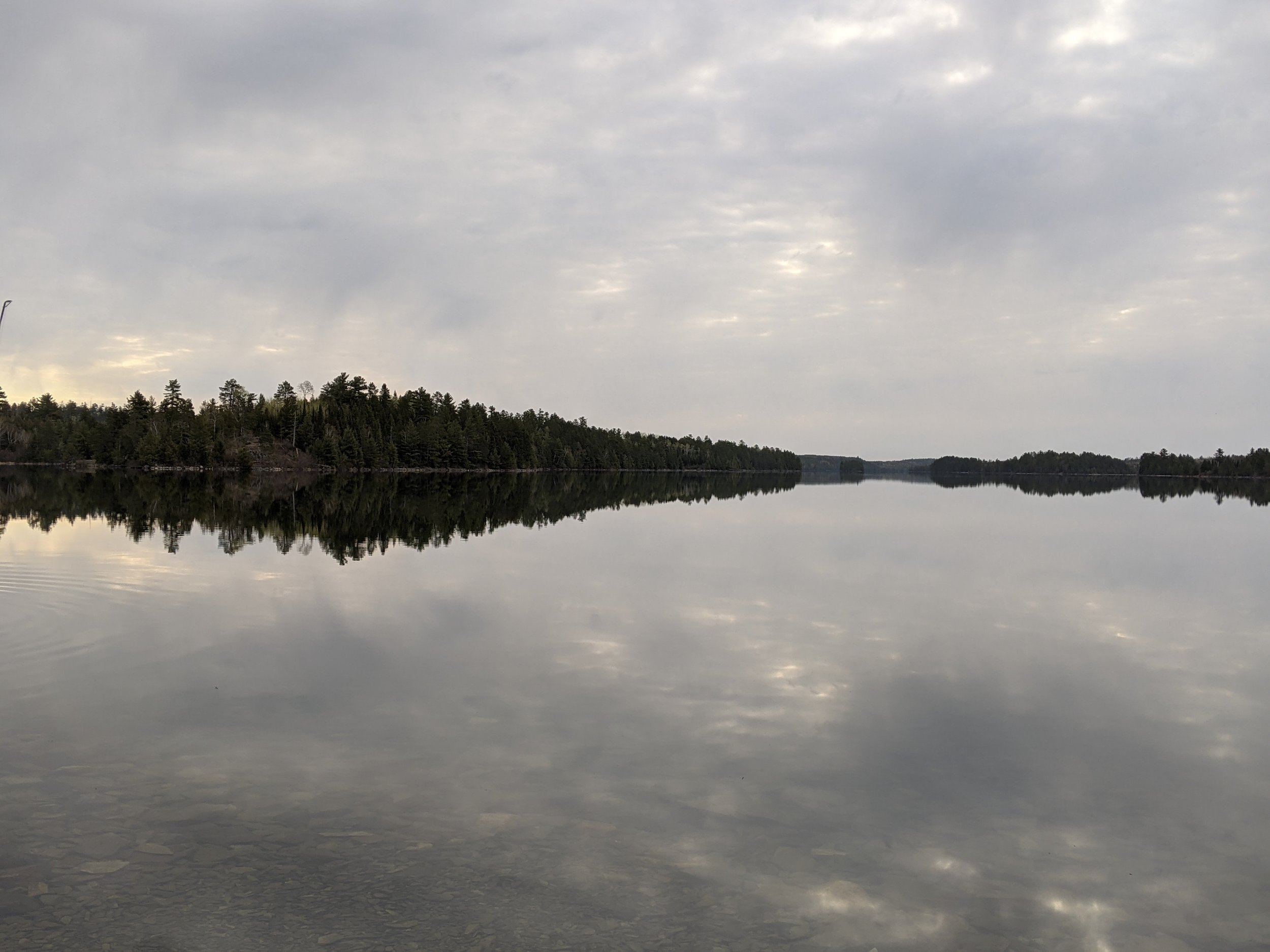 PXL_20210513_114905864.MP.jpg