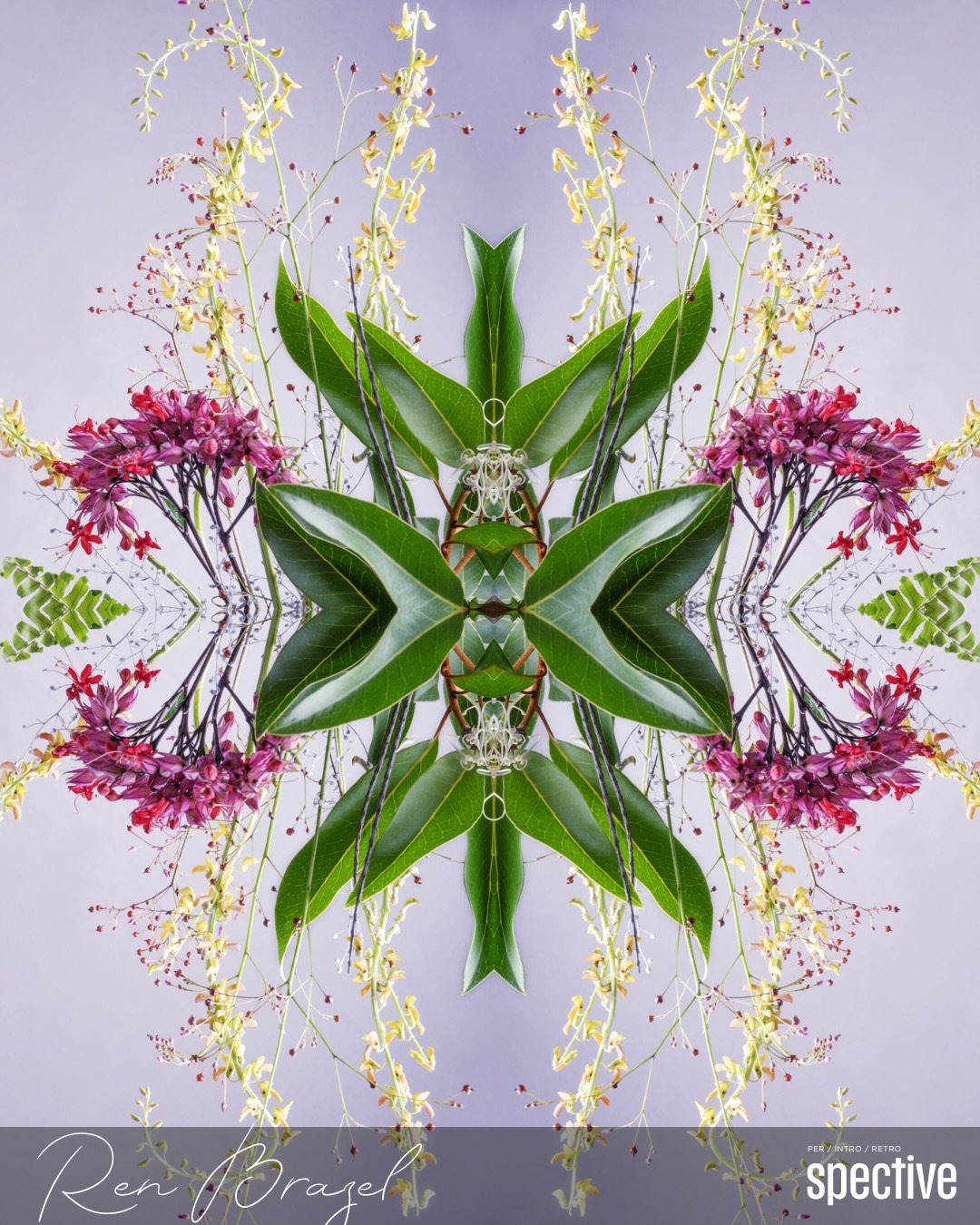 Perspective shapes everything, what we notice, what we feel, and the stories we build around what&rsquo;s in front of us. A slight shift can turn something familiar into something a bit unexpected, even a little strange. When we slow down and really 