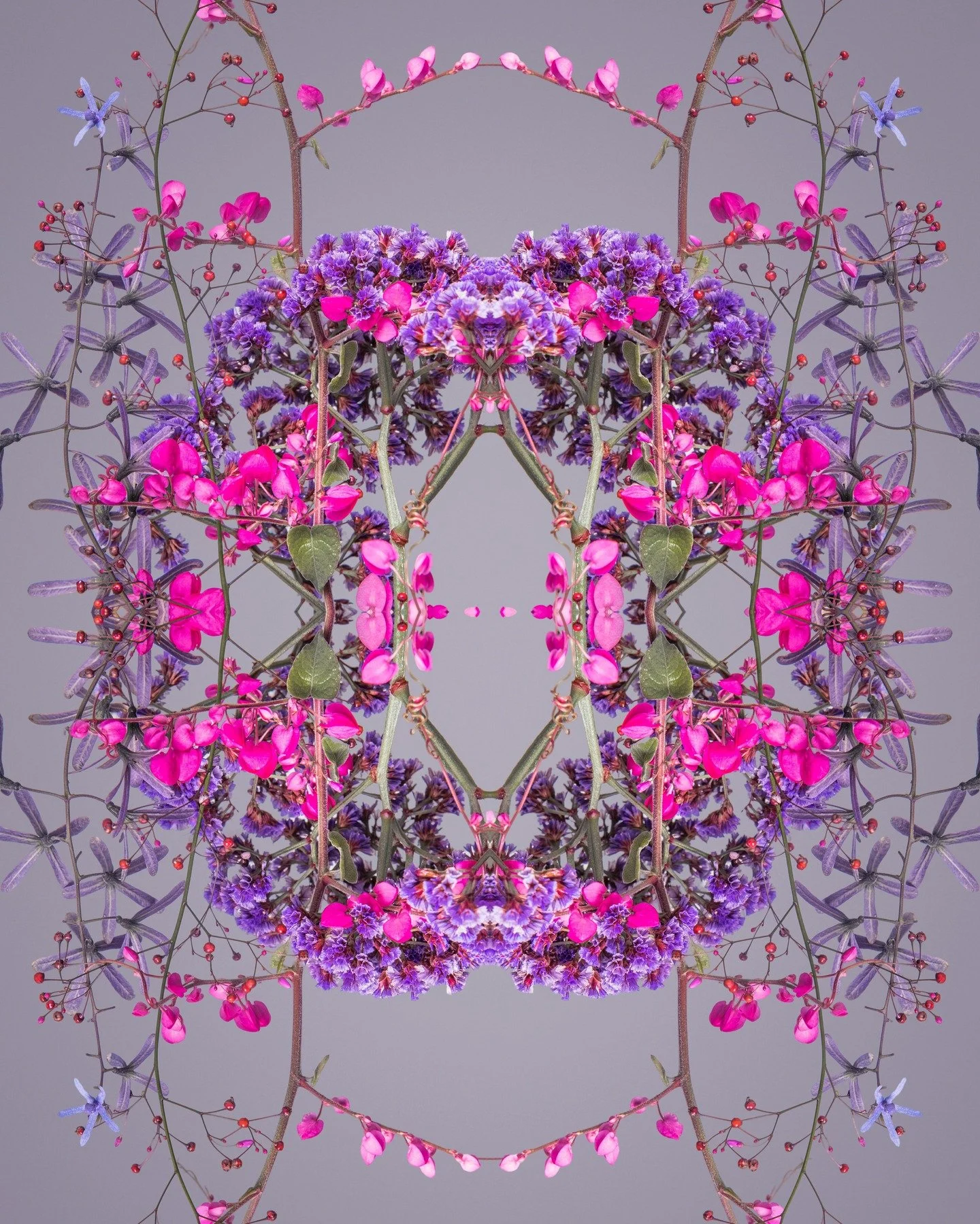Wild Symmetry. How wild life can be. What could be chaos, entanglement that looks messy, but can with form balance &amp; connection. 

These pieces are a reminder that life doesn&rsquo;t always need to be perfectly controlled to become something beau