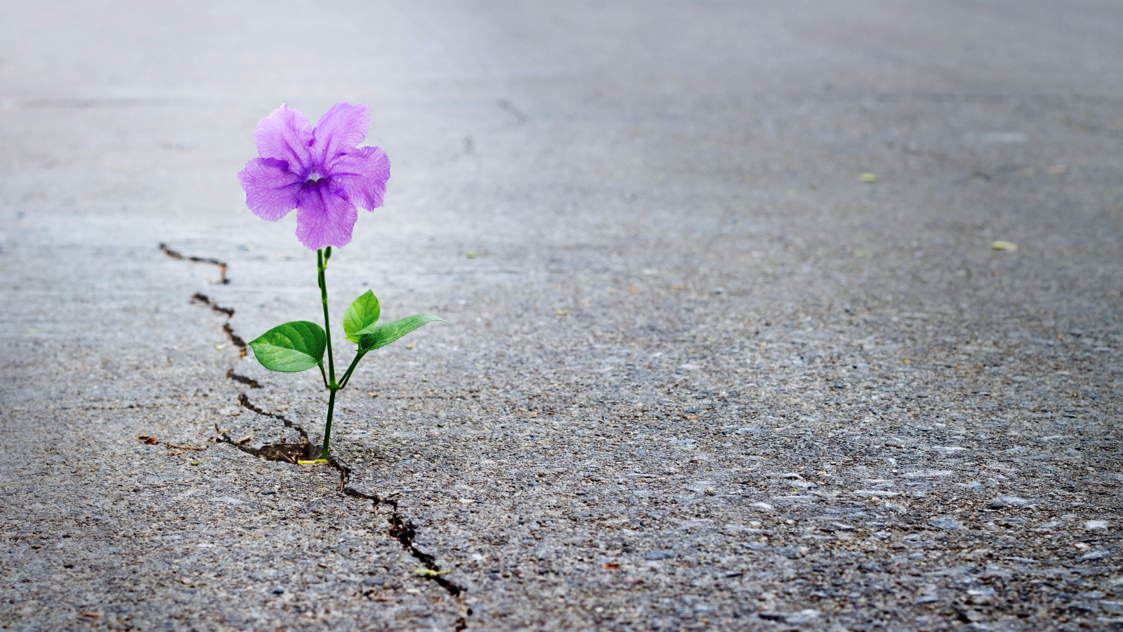 Building Resilience in Digital Ministry Teams
