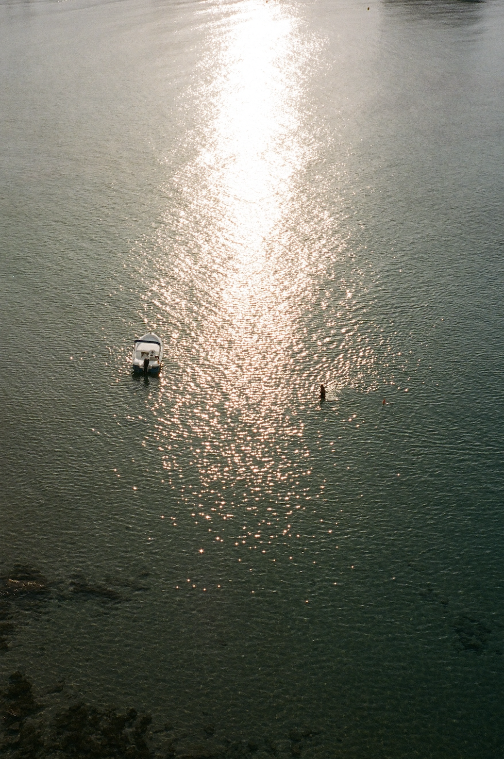 For Woods Copenhagen