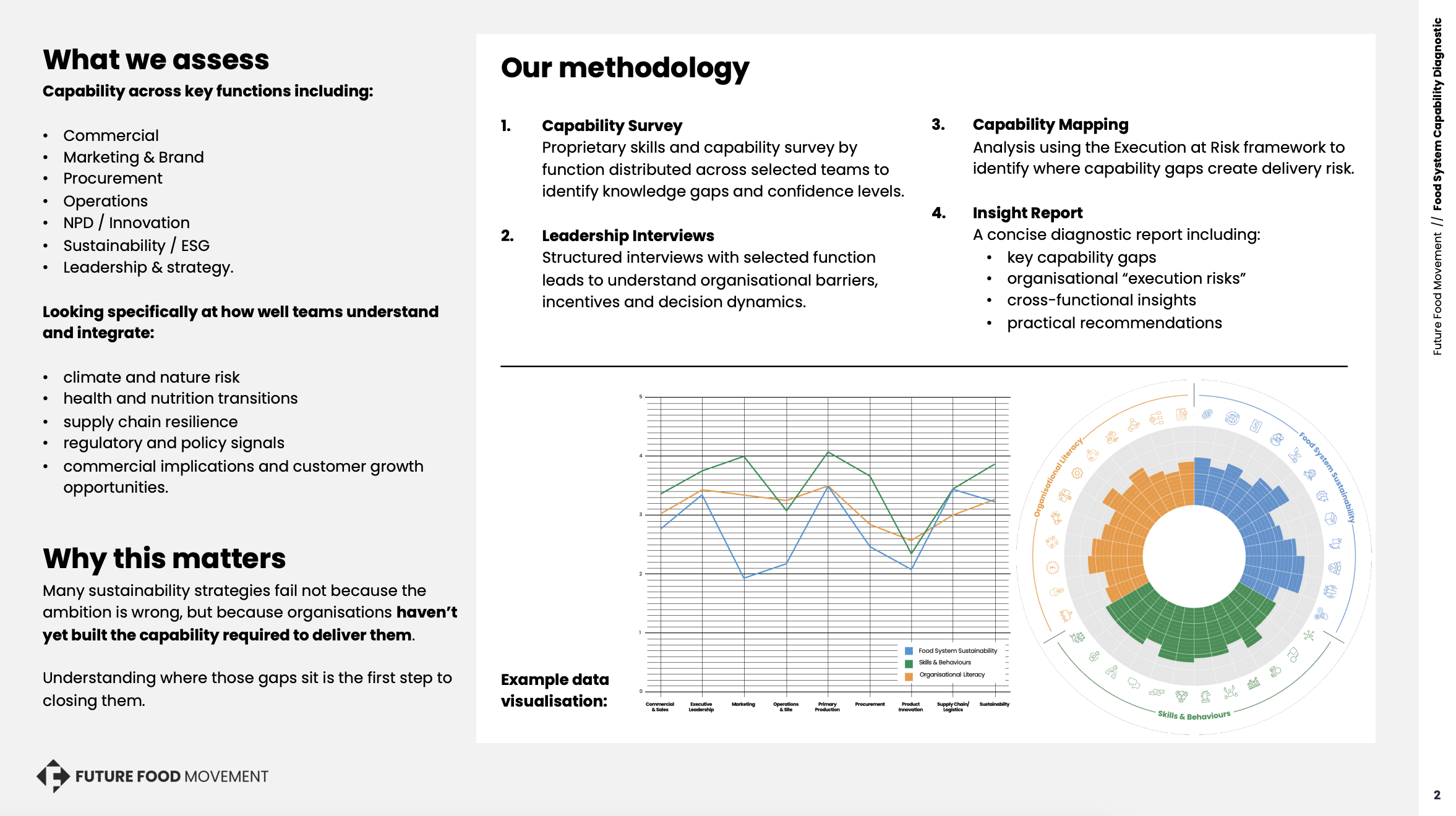 New diagnostic tool: identify where execution risk sits inside your organisation