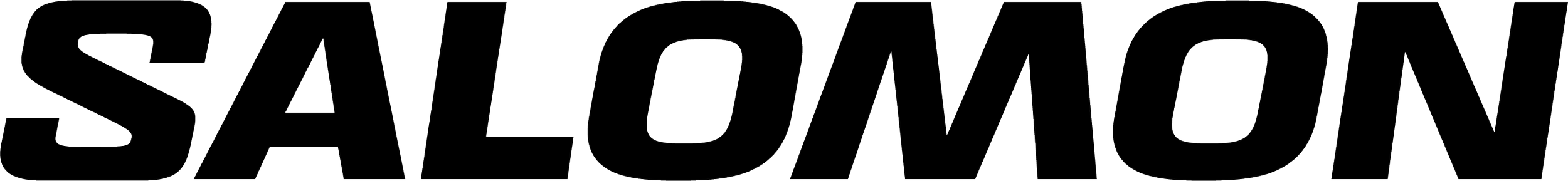 SALOMON-Logo-quer.png