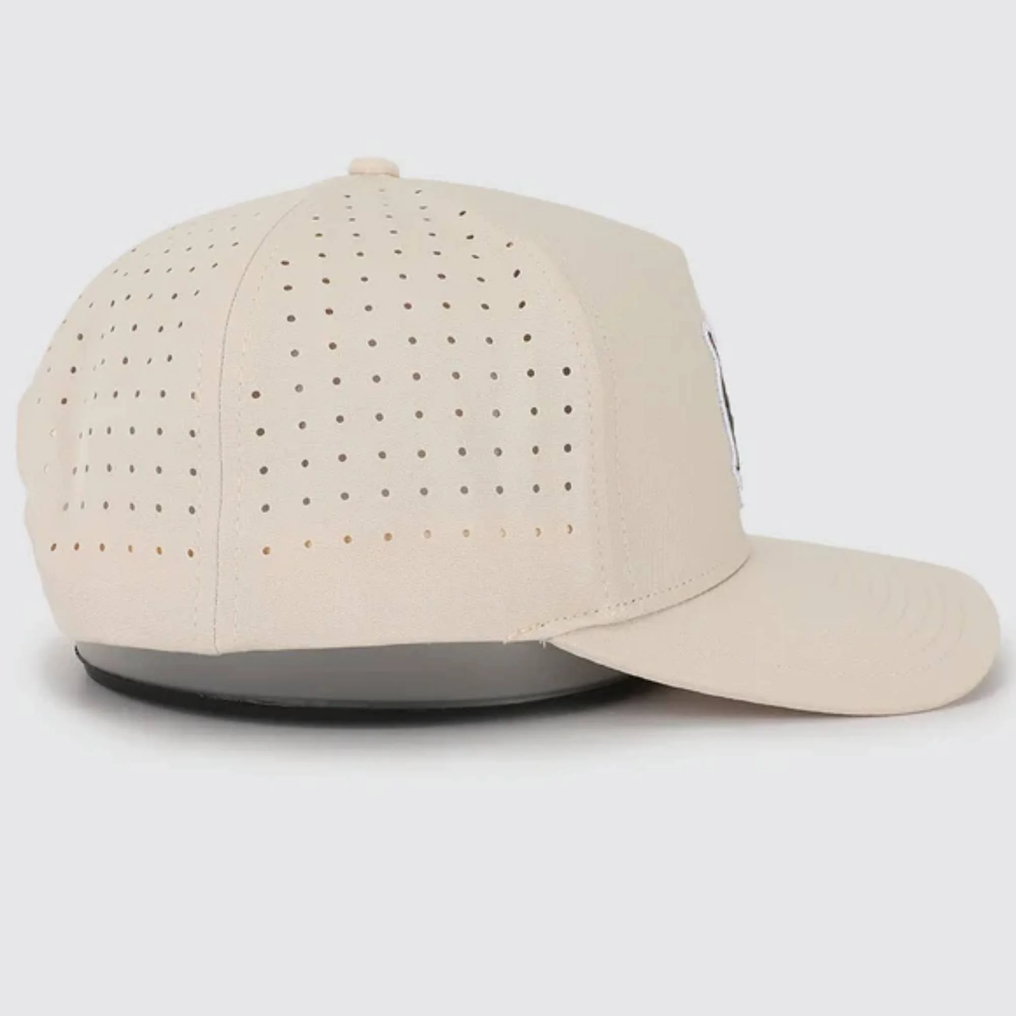 Waggle - Snapper 3.jpg