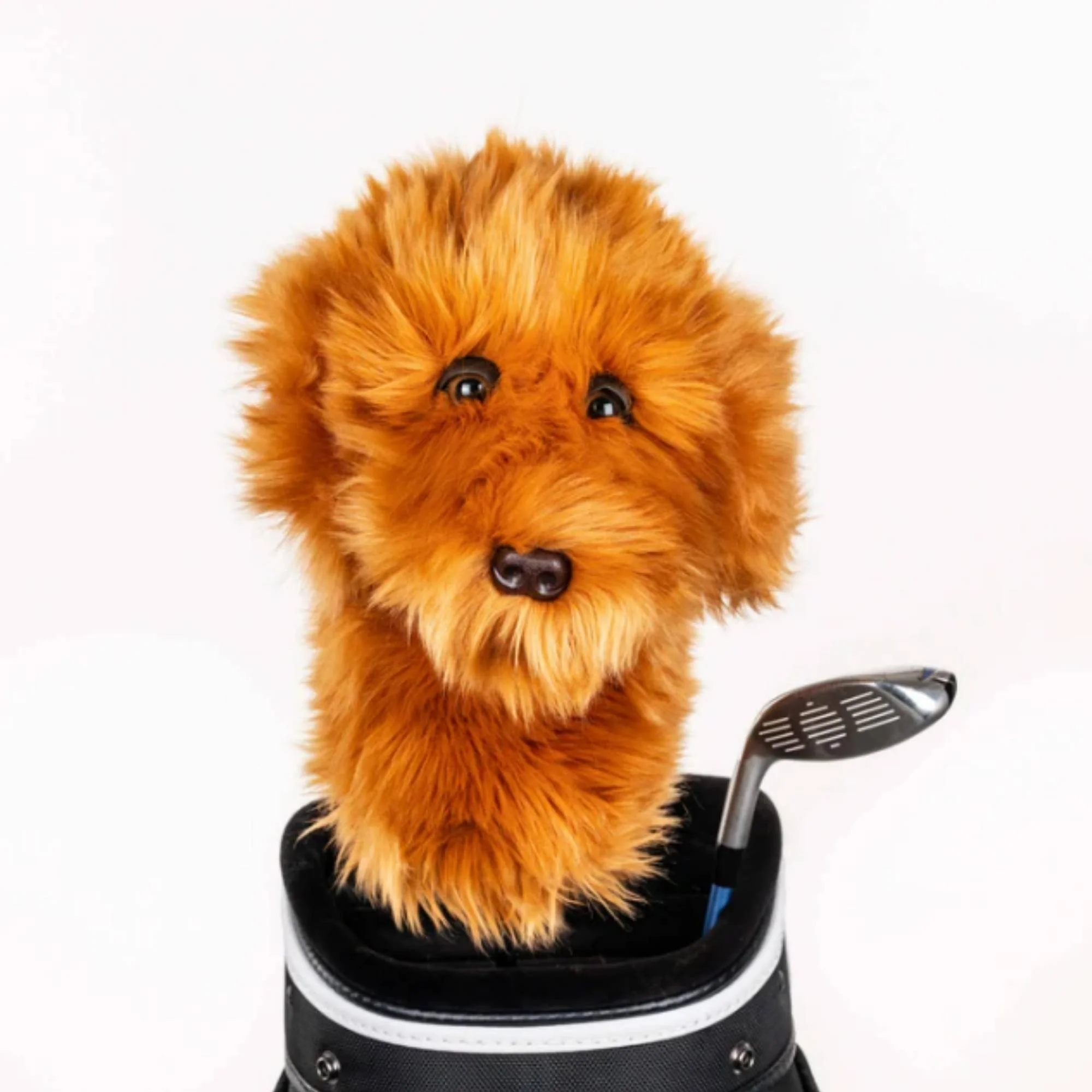 Daphne | Doodle Dog Driver Headcover