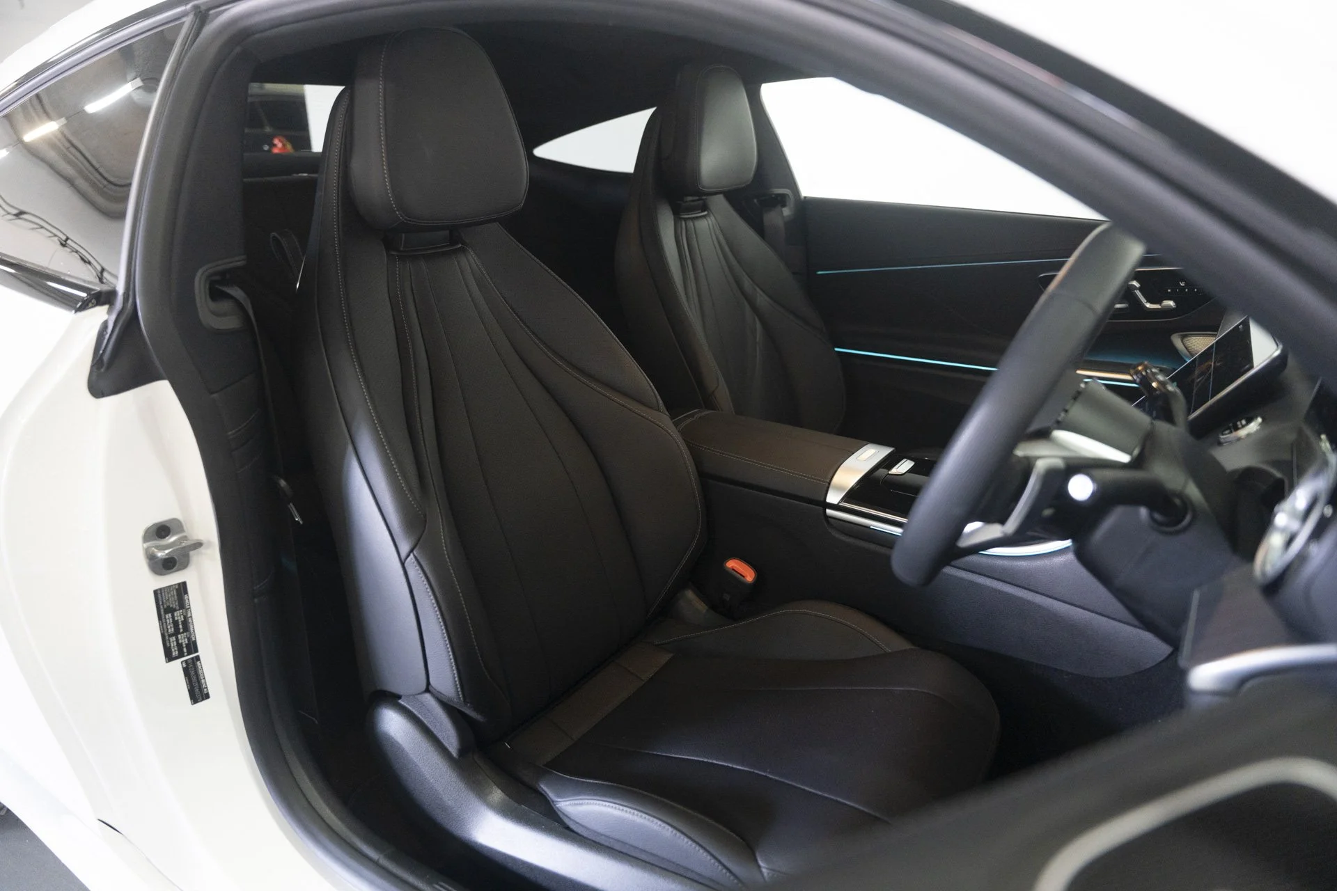 Monday 10th November (101 of 252).jpg