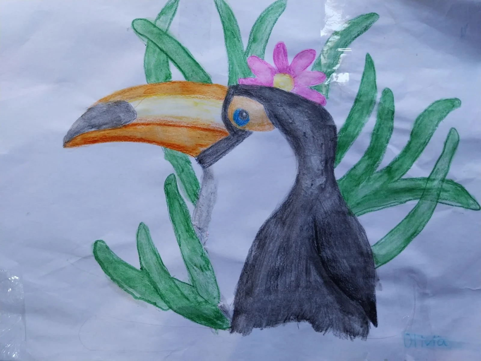 Toucan by Olivia aged 9.jpg