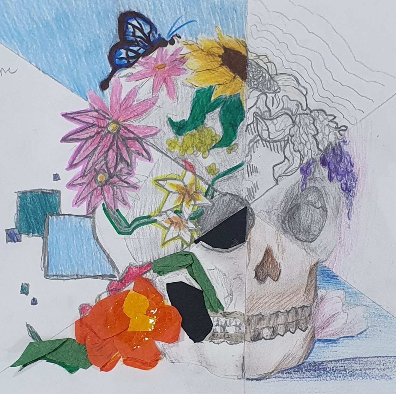 Segmented Skull by Jada aged 14.jpg