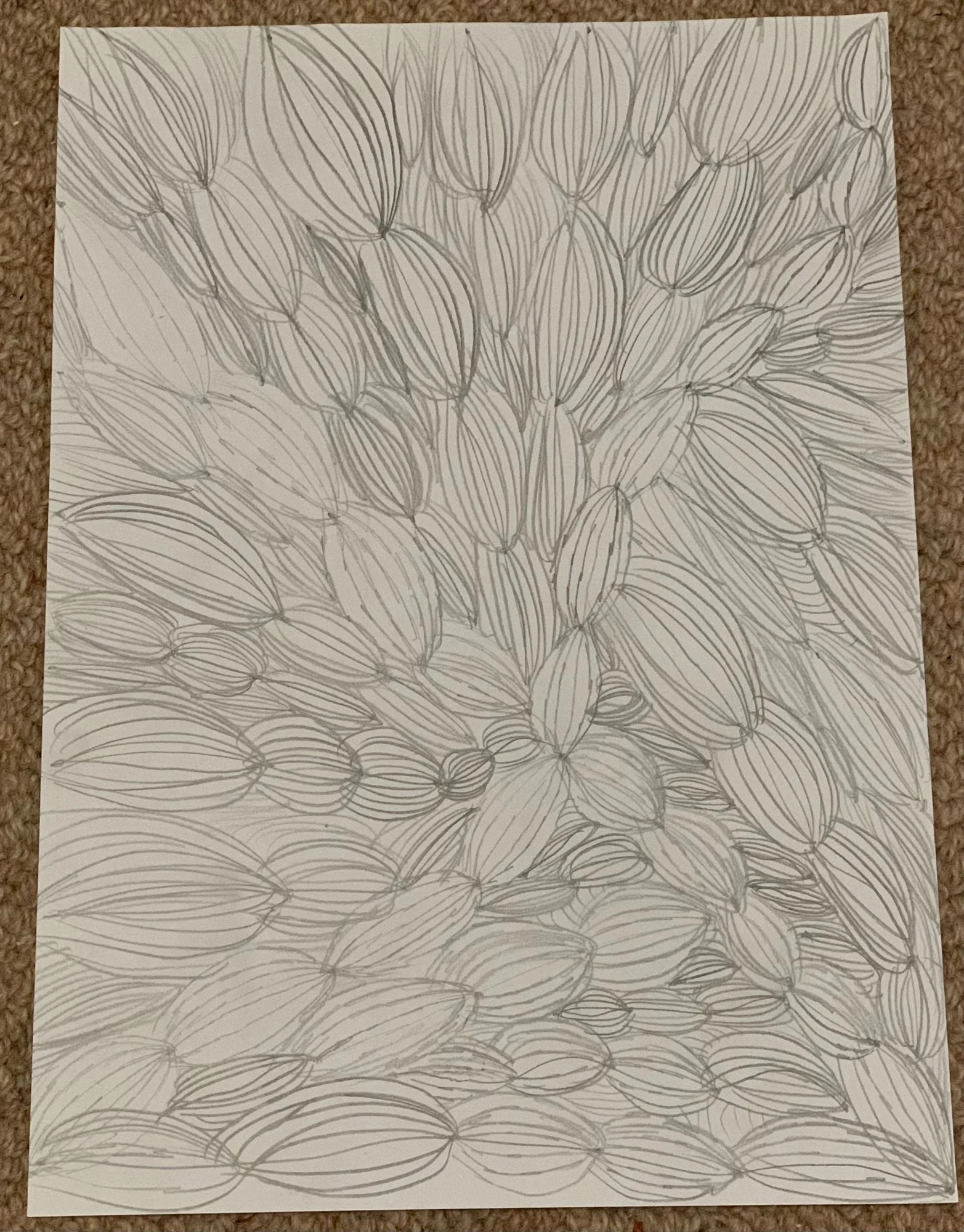 Illusions by Selina aged 8.jpg