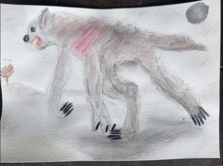 Werewolf by Finn aged 11.jpg