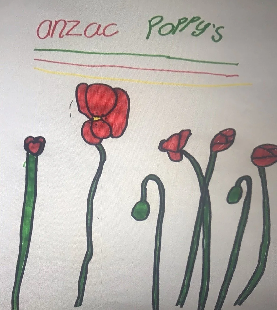 Maya aged 7 poppies.jpg
