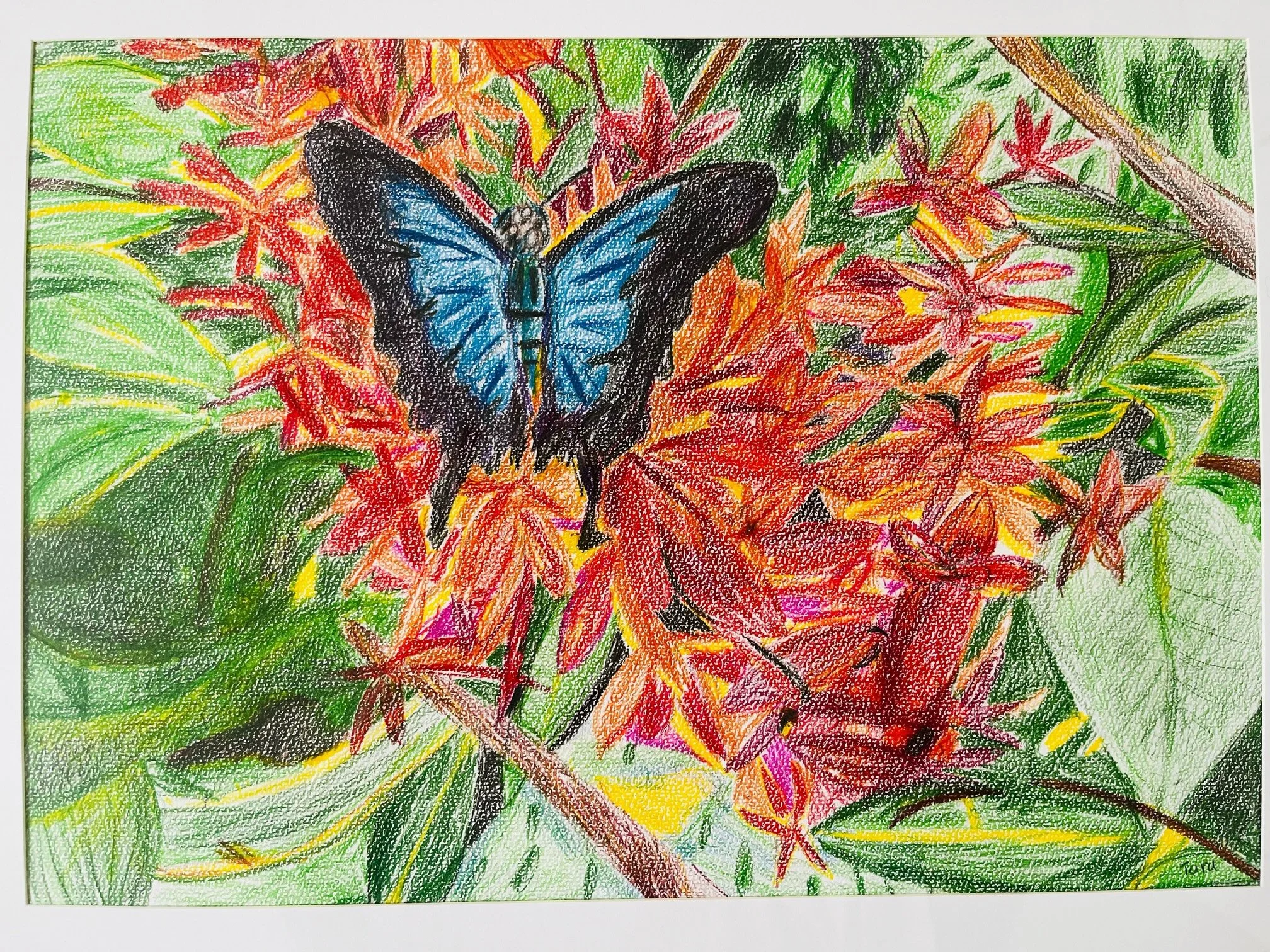 Rainforest by Tara Rose aged 7.jpeg